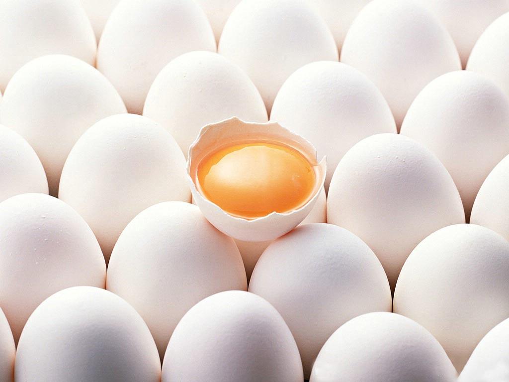 Eggs Wallpapers Top Free Eggs Backgrounds WallpaperAccess