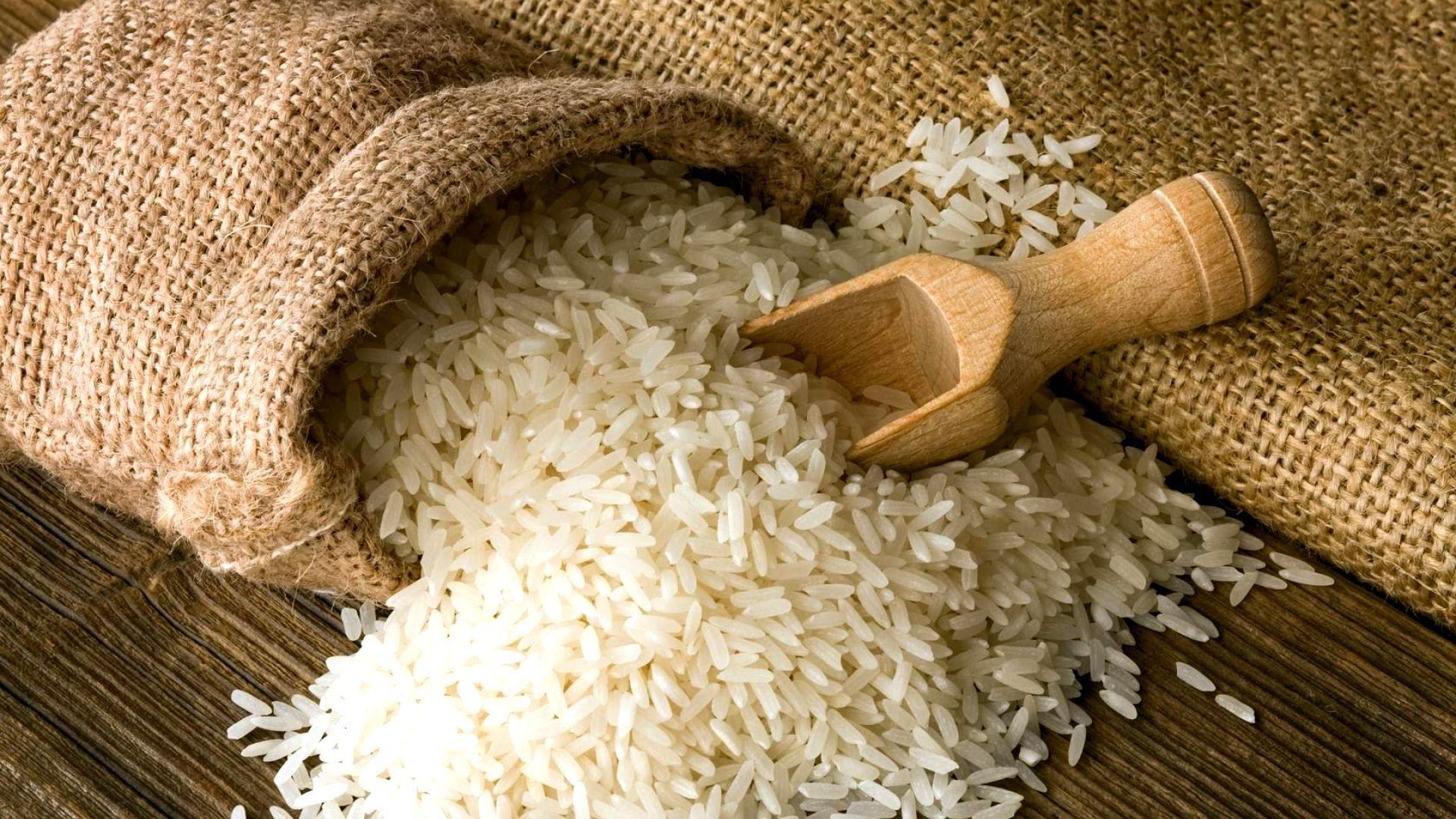 Rice Wallpapers Top Free Rice Backgrounds WallpaperAccess