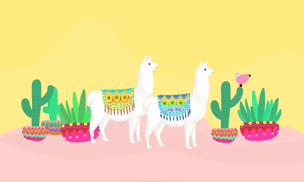 Cute Llama Wallpapers Top Free Cute Llama Backgrounds WallpaperAccess