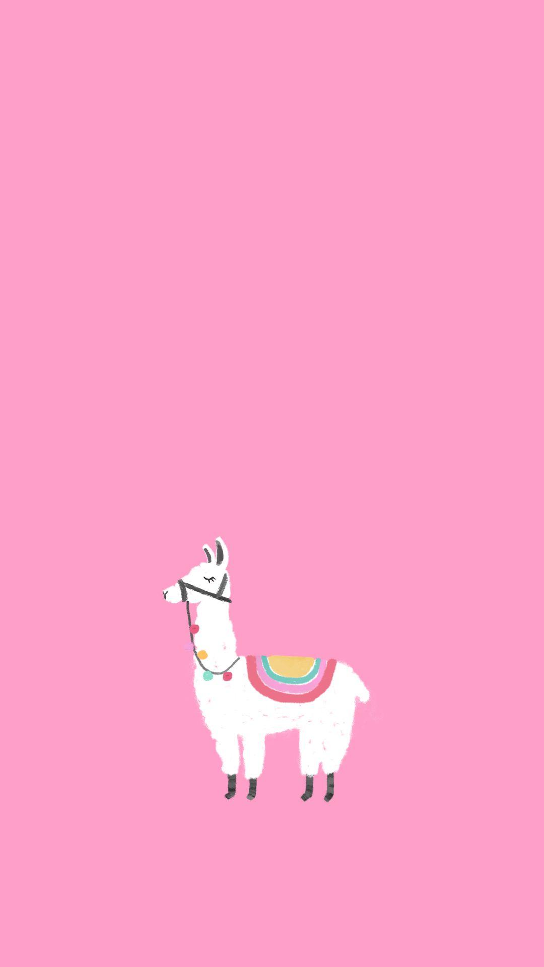 Cute Llama Wallpapers Top Free Cute Llama Backgrounds WallpaperAccess