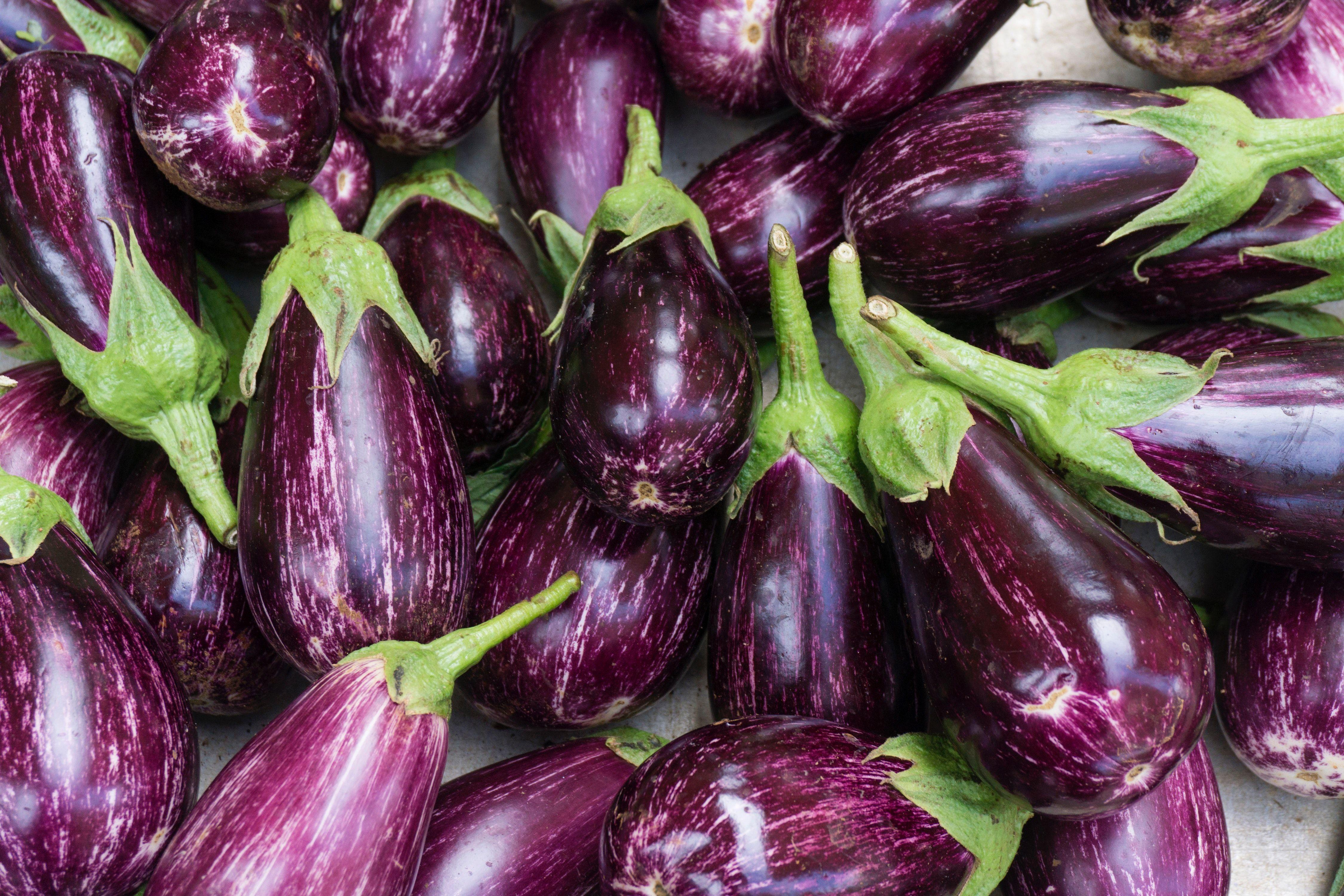 Eggplant Wallpapers Top Free Eggplant Backgrounds WallpaperAccess