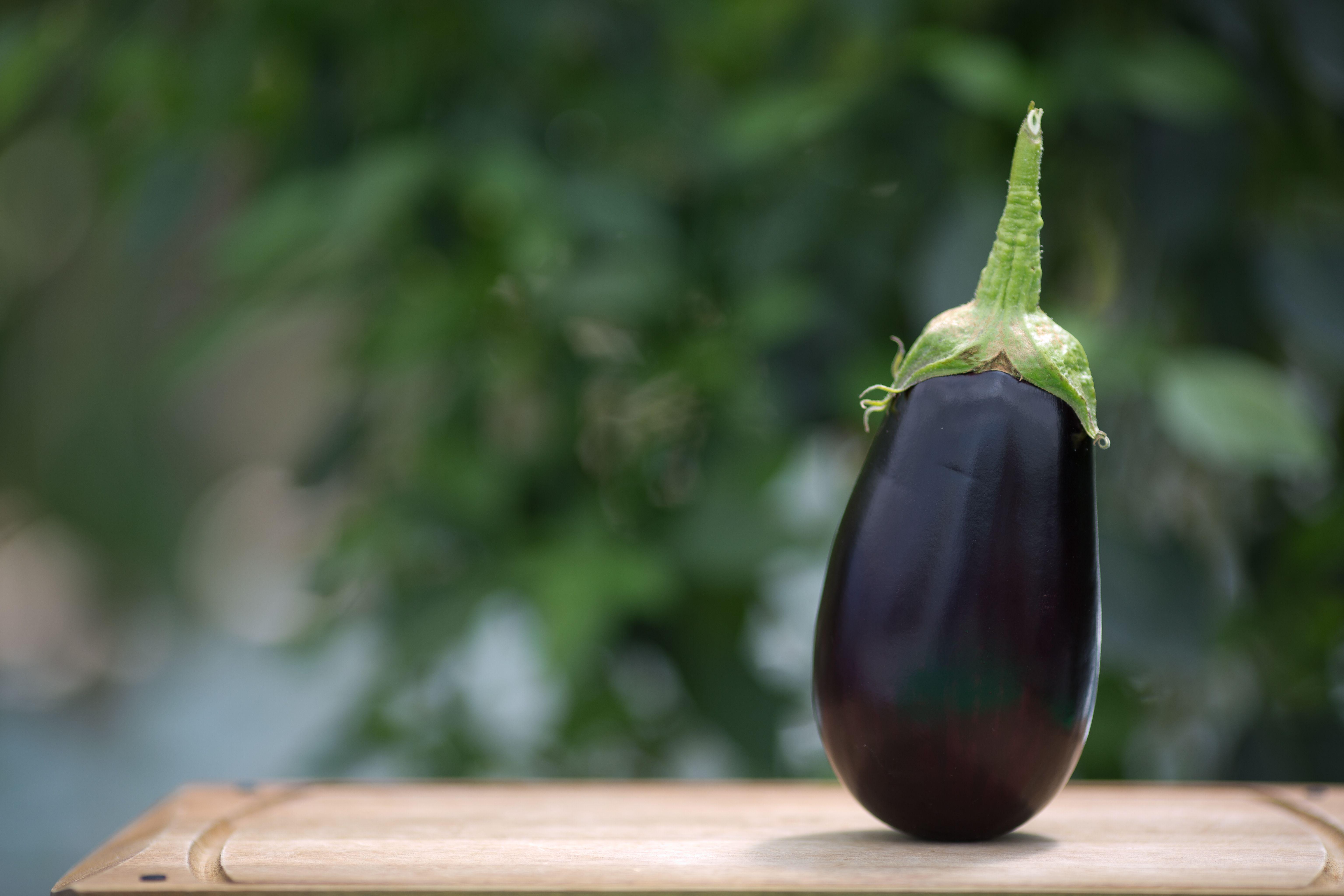 Eggplant Wallpapers Top Free Eggplant Backgrounds WallpaperAccess