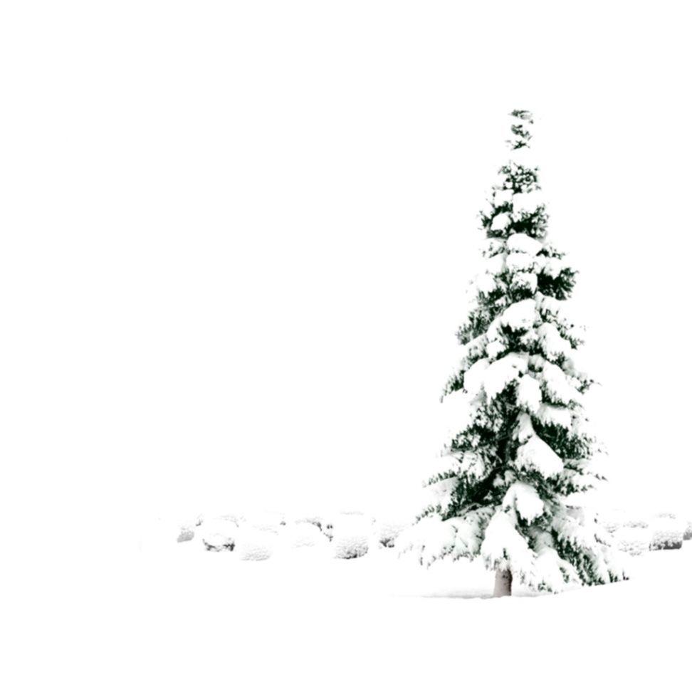 White Christmas Wallpapers Top Free White Christmas Backgrounds