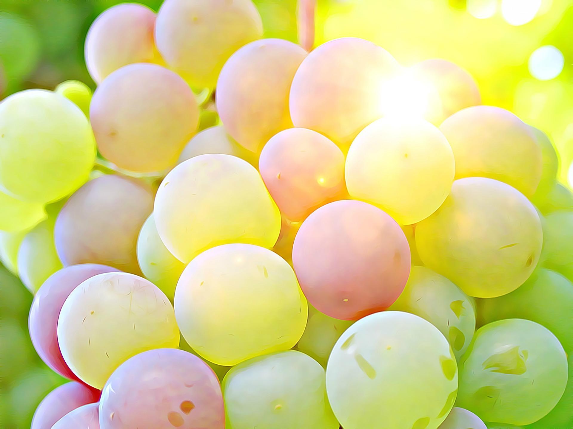 Grape Wallpapers Top Free Grape Backgrounds WallpaperAccess