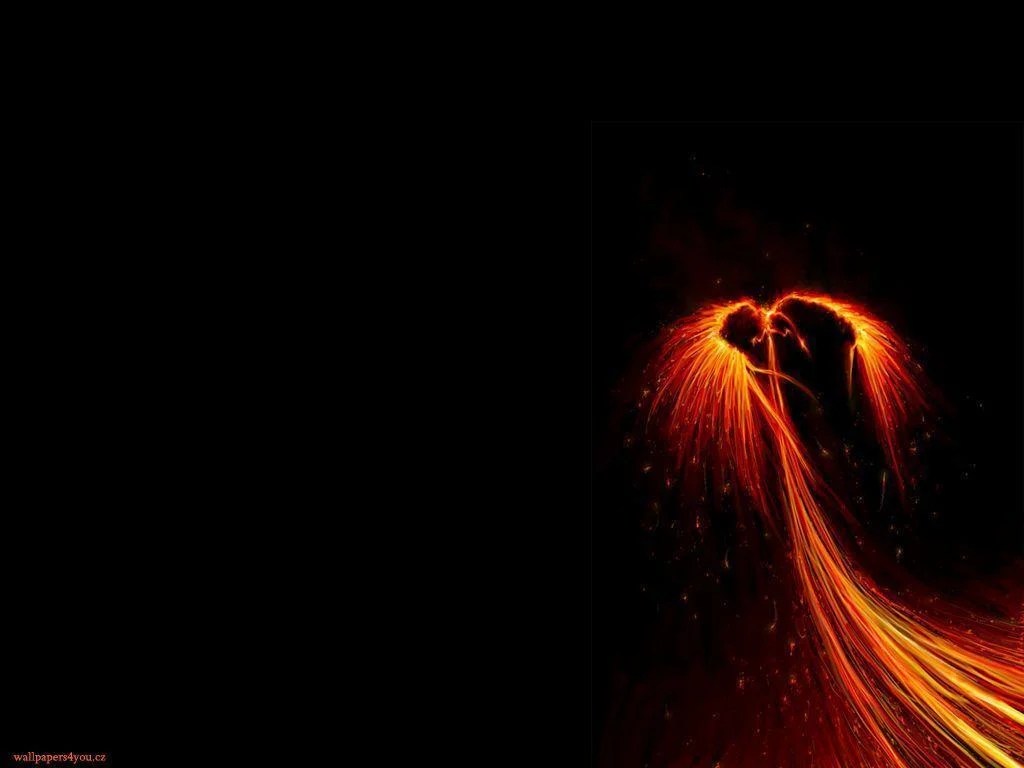 Black Phoenix Wallpapers Top Free Black Phoenix Backgrounds WallpaperAccess