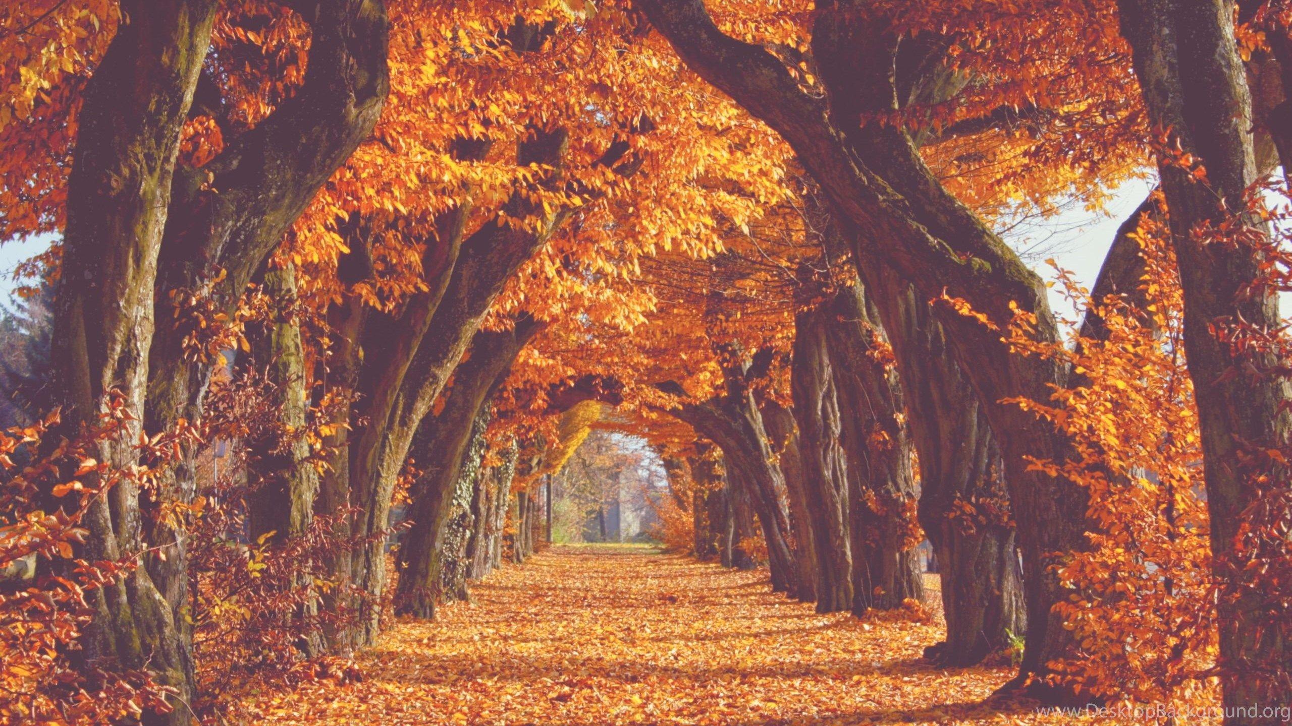Tumblr Autumn Desktop Wallpapers Top Free Tumblr Autumn Desktop
