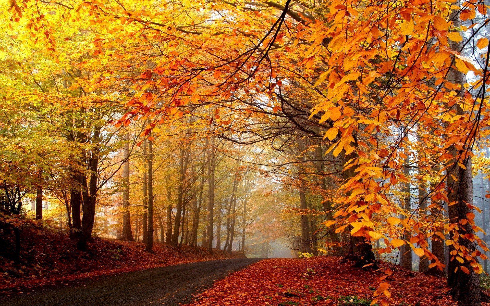 Tumblr Autumn Desktop Wallpapers Top Free Tumblr Autumn Desktop