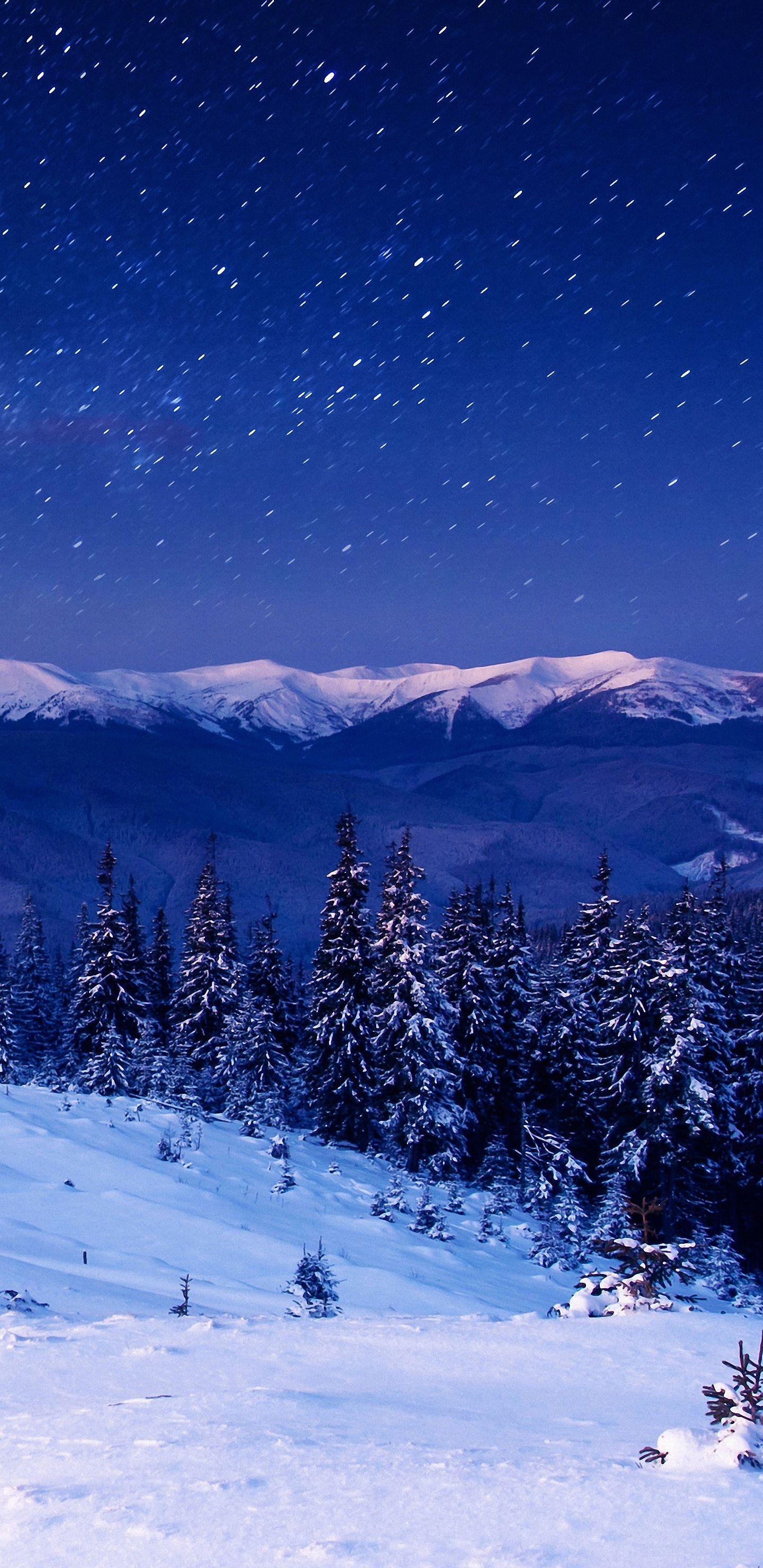 Snow Forest Night Wallpapers Top Free Snow Forest Night Backgrounds