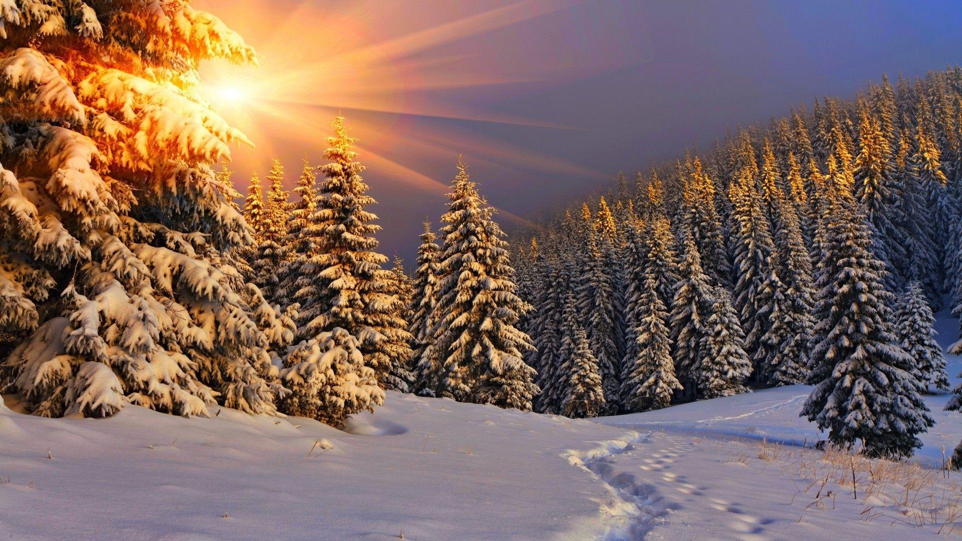 Snow Sun Wallpapers Top Free Snow Sun Backgrounds WallpaperAccess