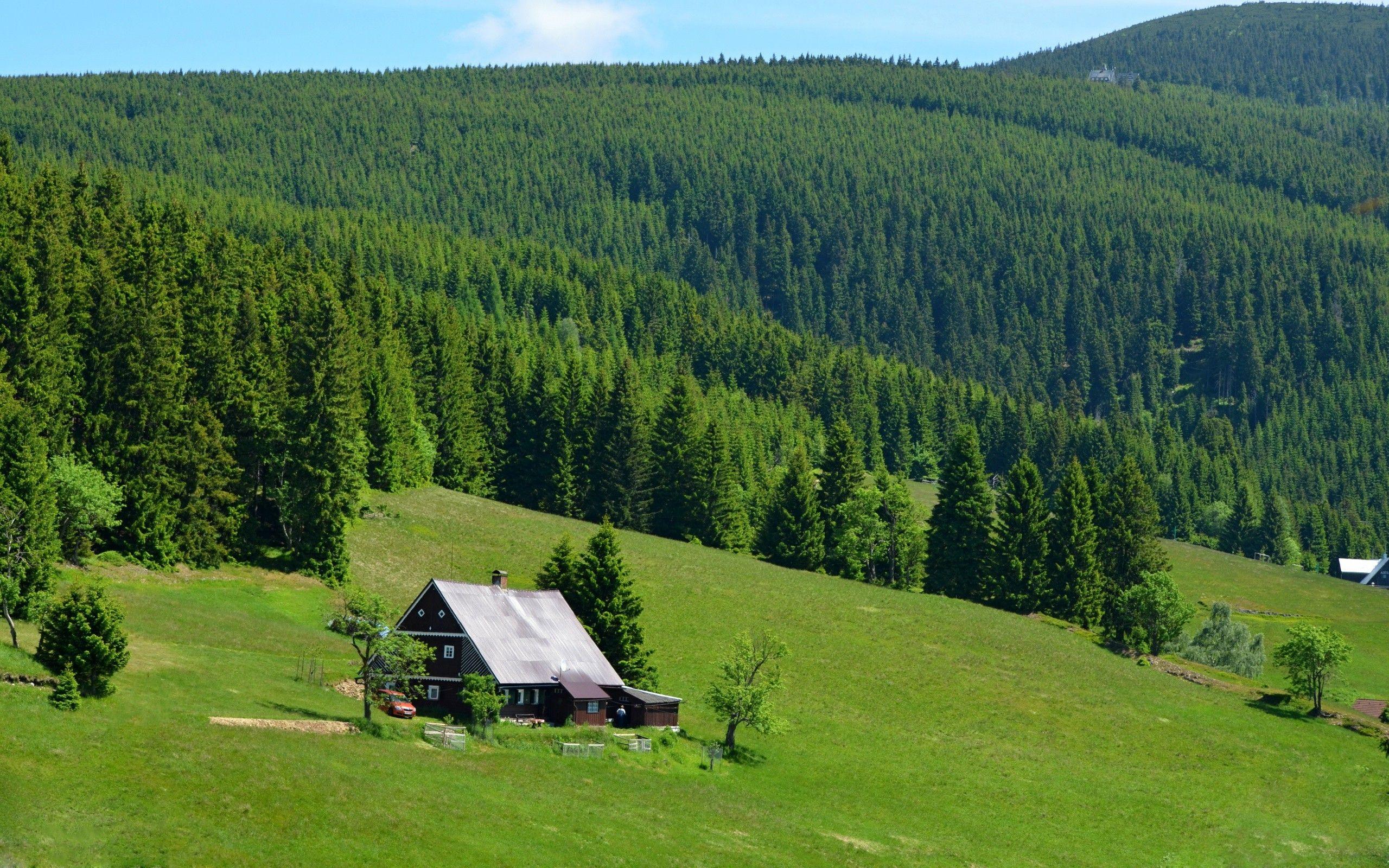 Cozy Forest Wallpapers Top Free Cozy Forest Backgrounds WallpaperAccess