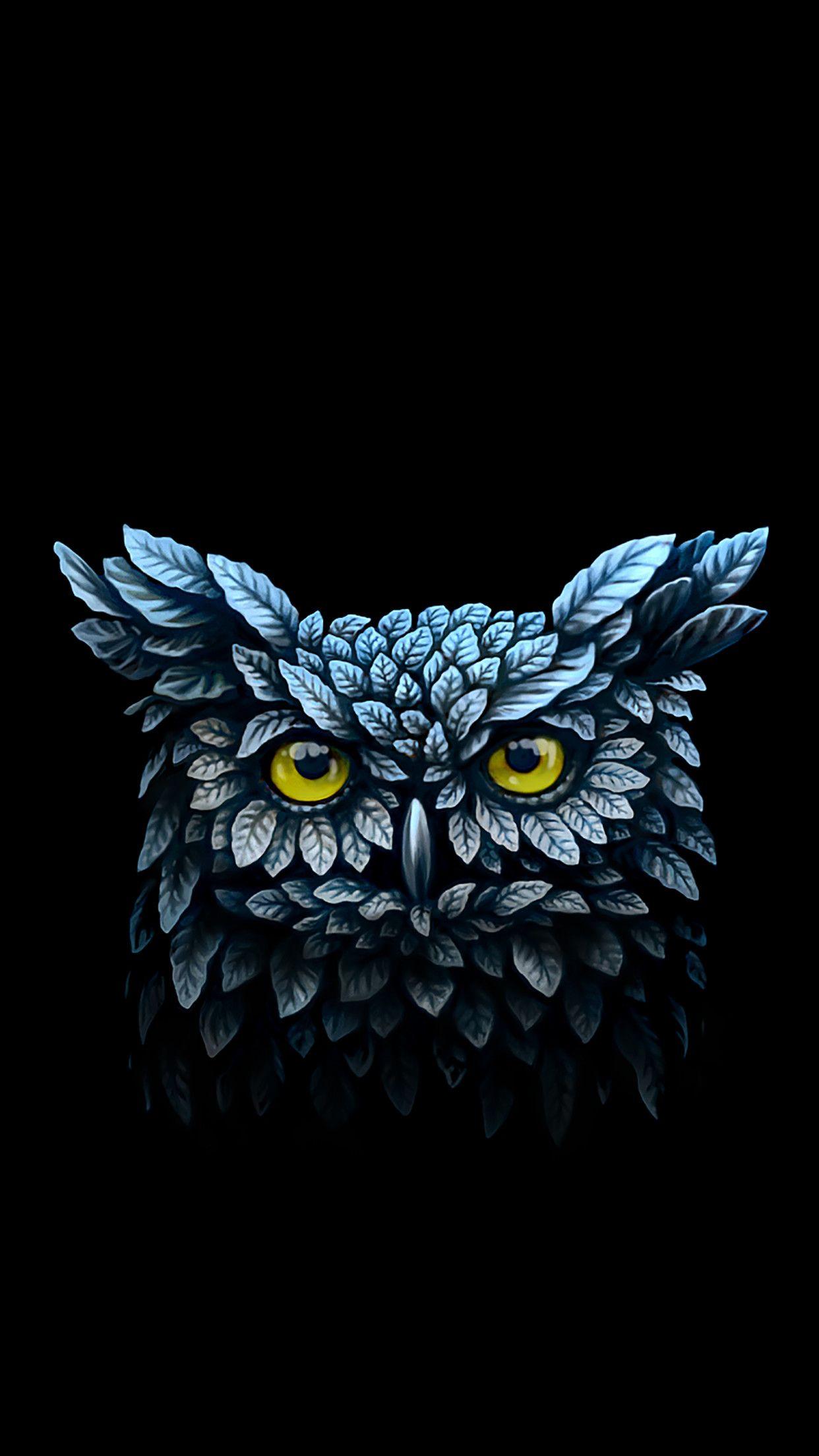 Dark Owl Wallpapers Top Free Dark Owl Backgrounds WallpaperAccess