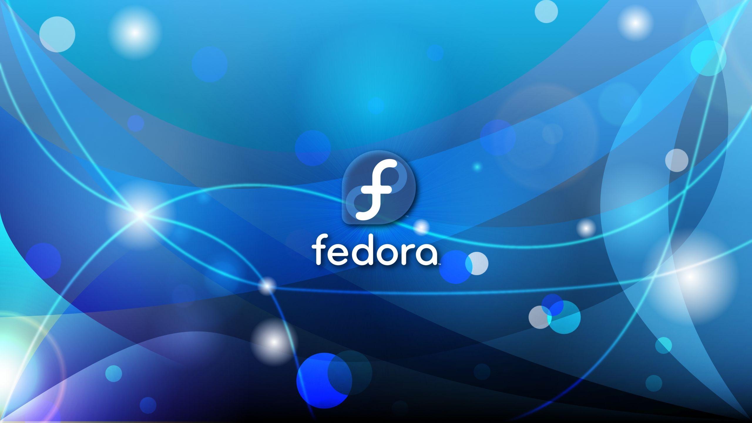 Fedora Wallpapers Top Free Fedora Backgrounds WallpaperAccess