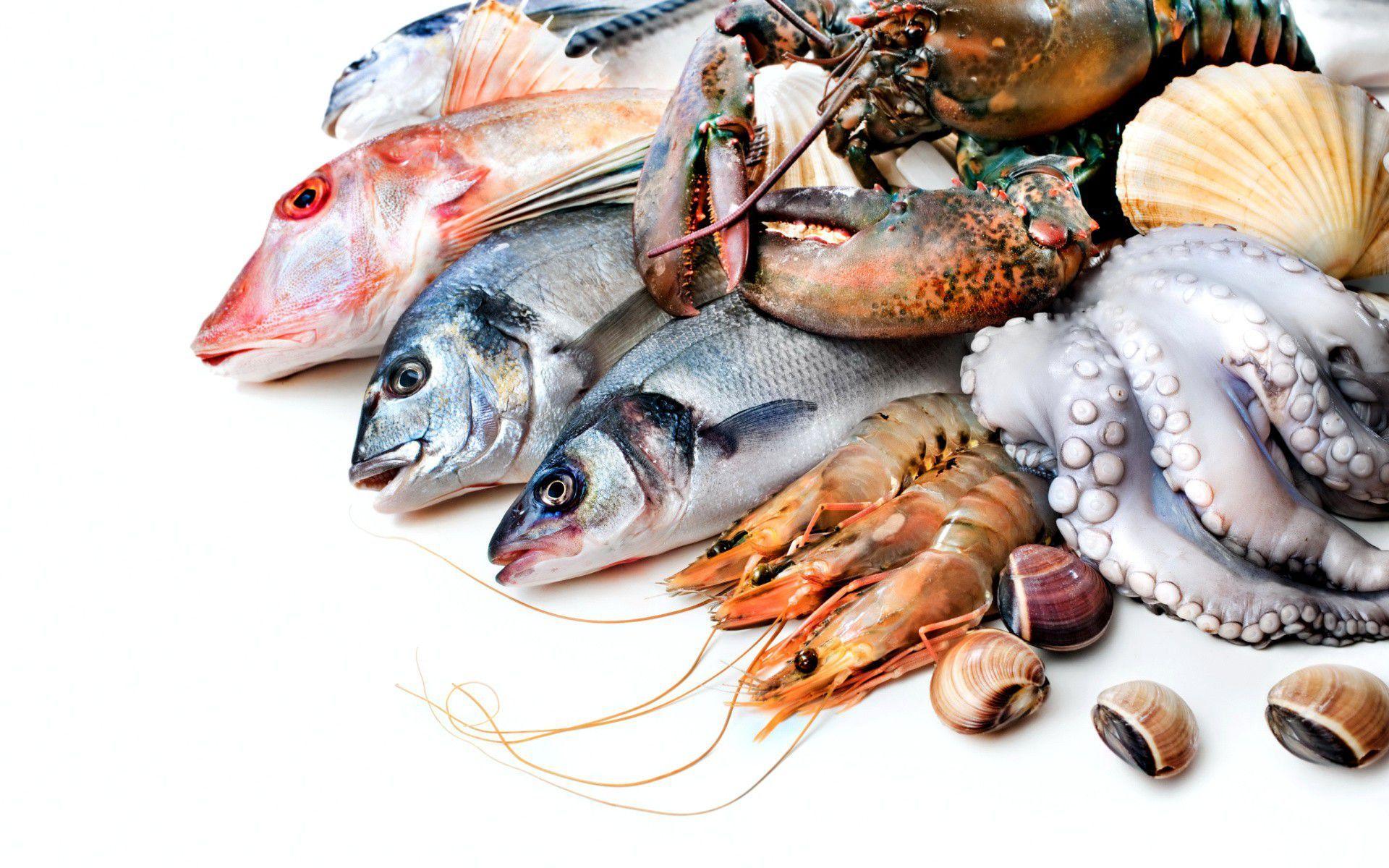 Seafood Wallpapers Top Free Seafood Backgrounds WallpaperAccess