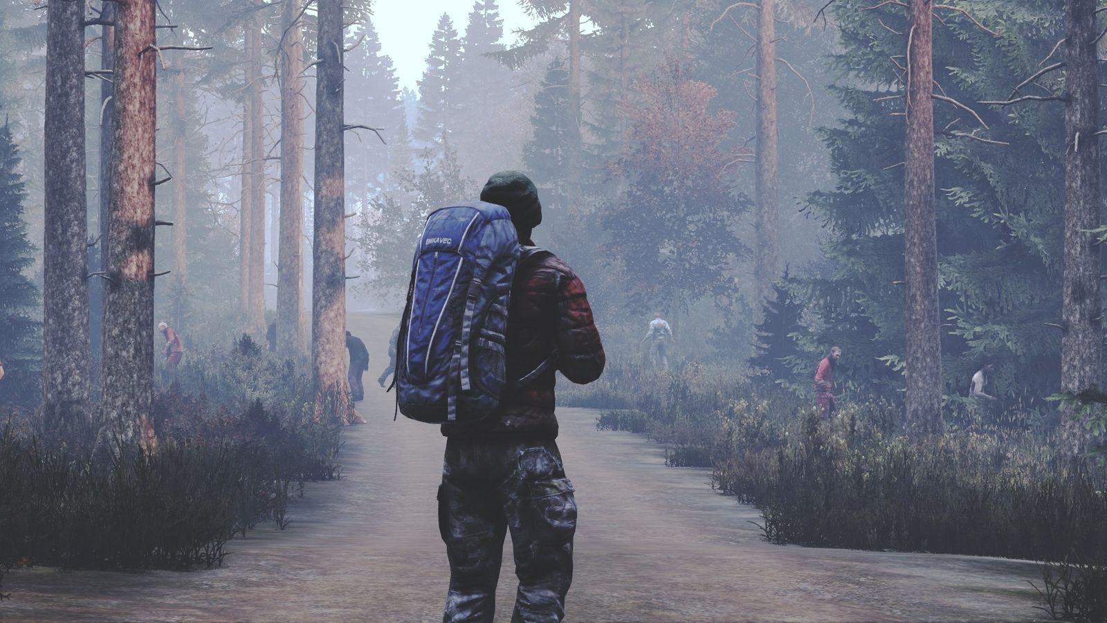 DayZ Wallpapers Top Free DayZ Backgrounds WallpaperAccess