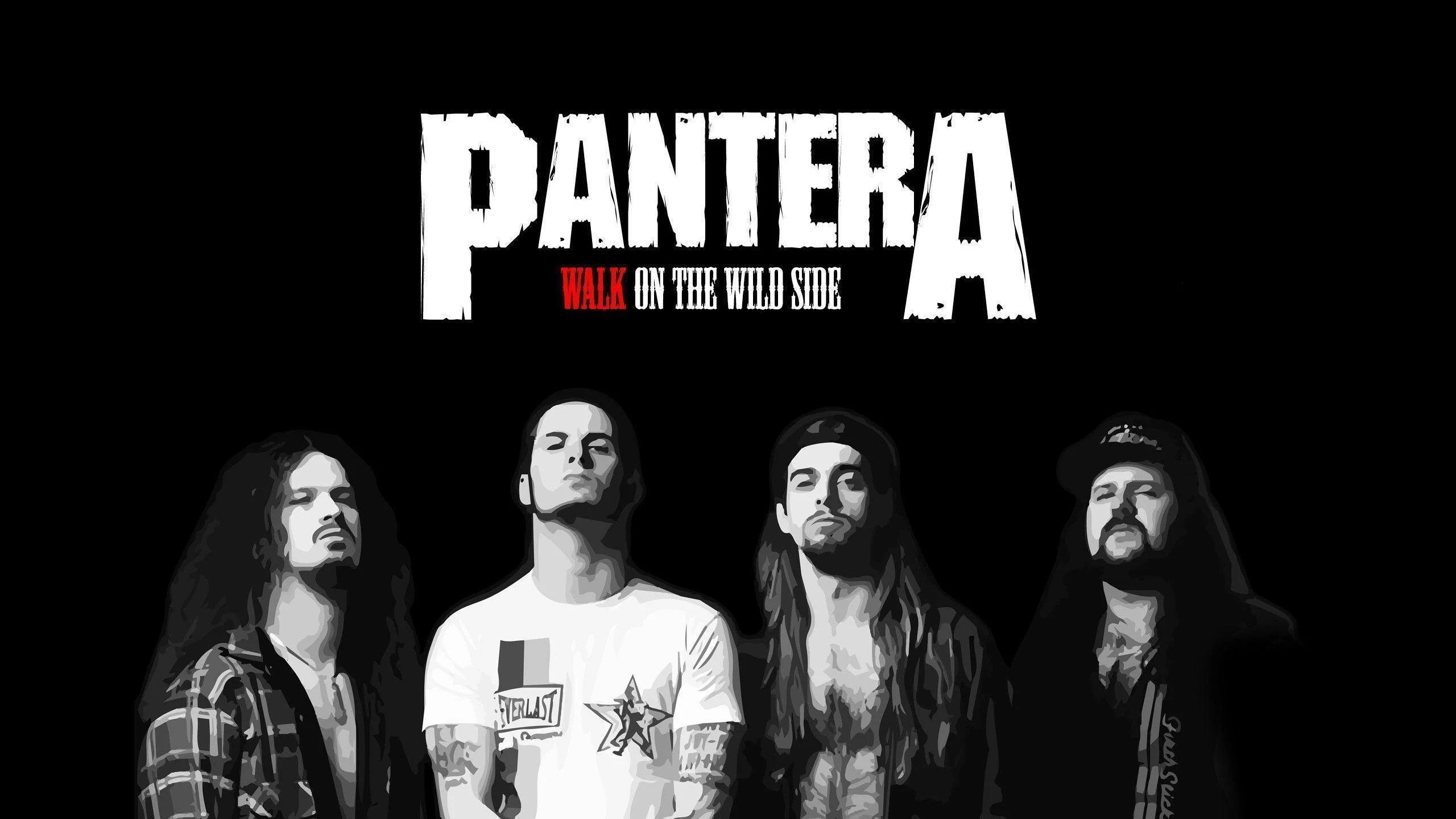 Pantera Wallpapers Top Free Pantera Backgrounds WallpaperAccess