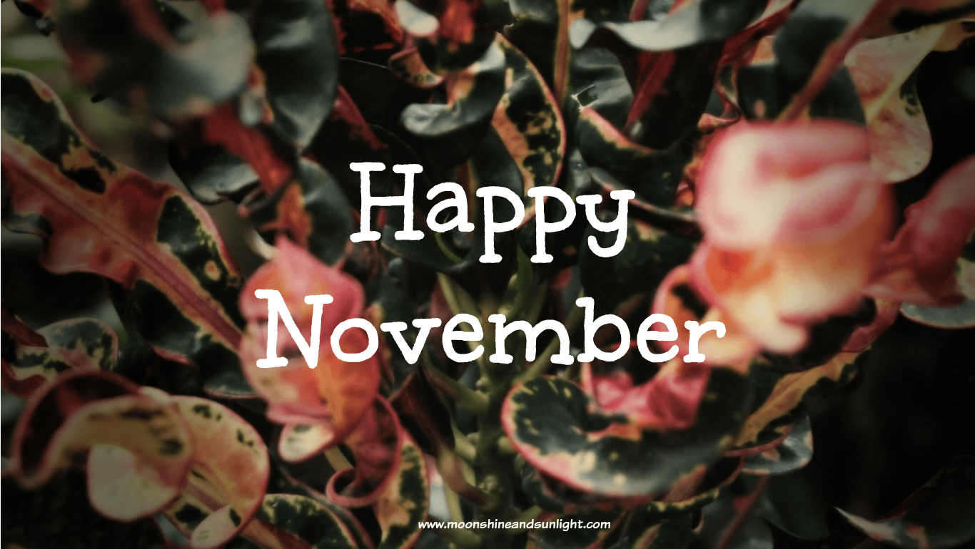 Happy November Wallpapers Top Free Happy November Backgrounds