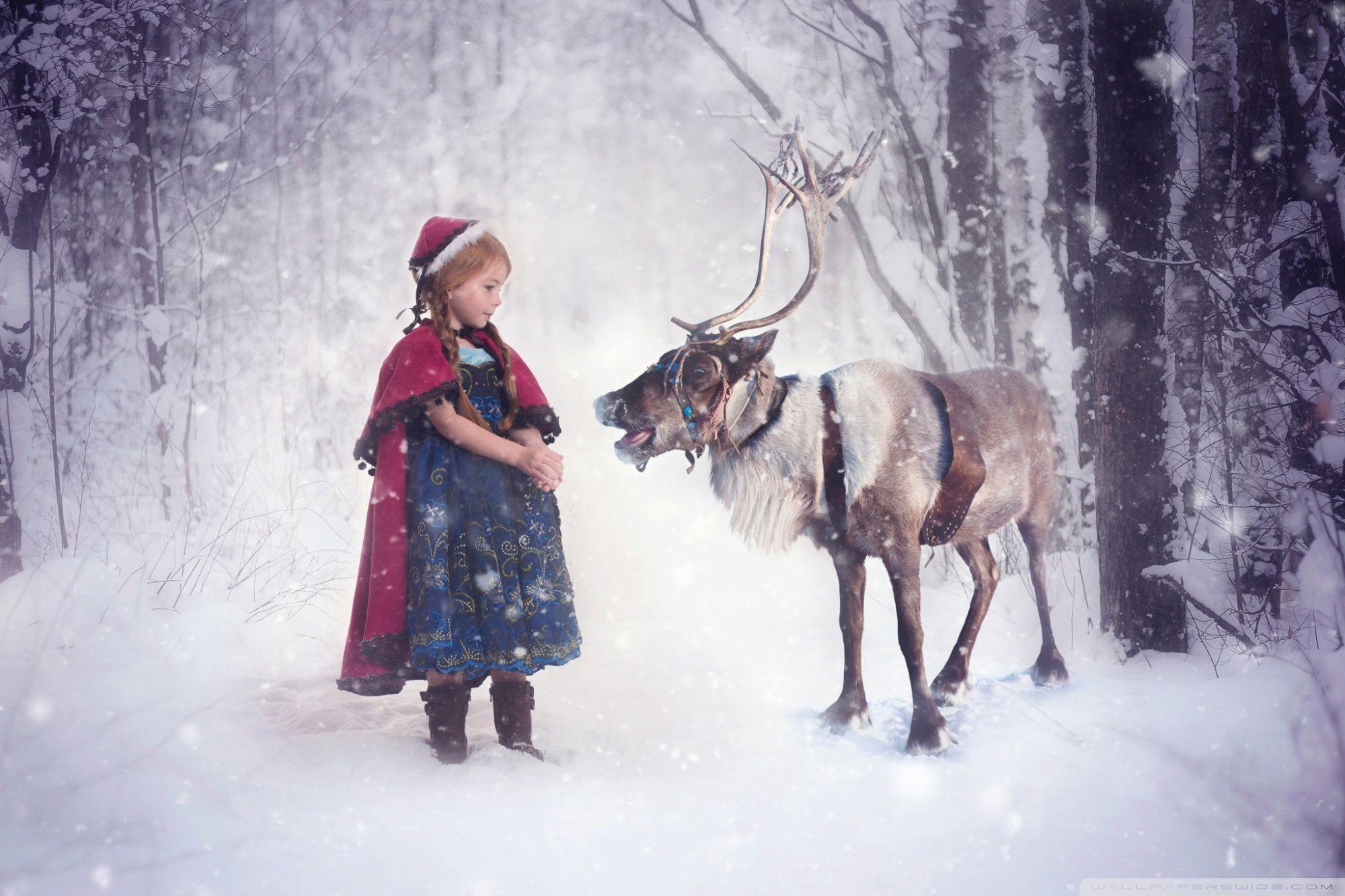 Reindeer Wallpapers Top Free Reindeer Backgrounds WallpaperAccess