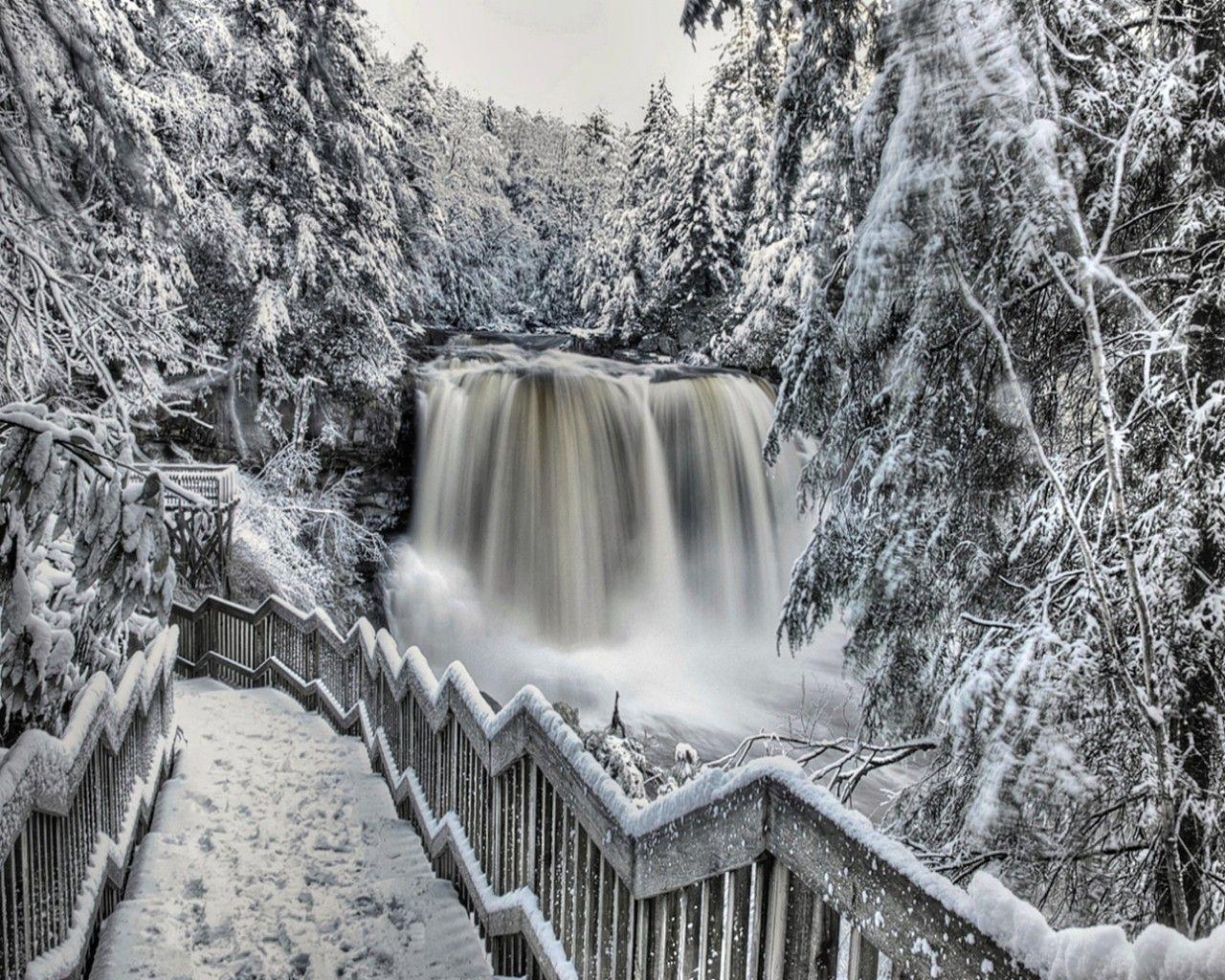 Black and White Winter Wallpapers Top Free Black and White Winter