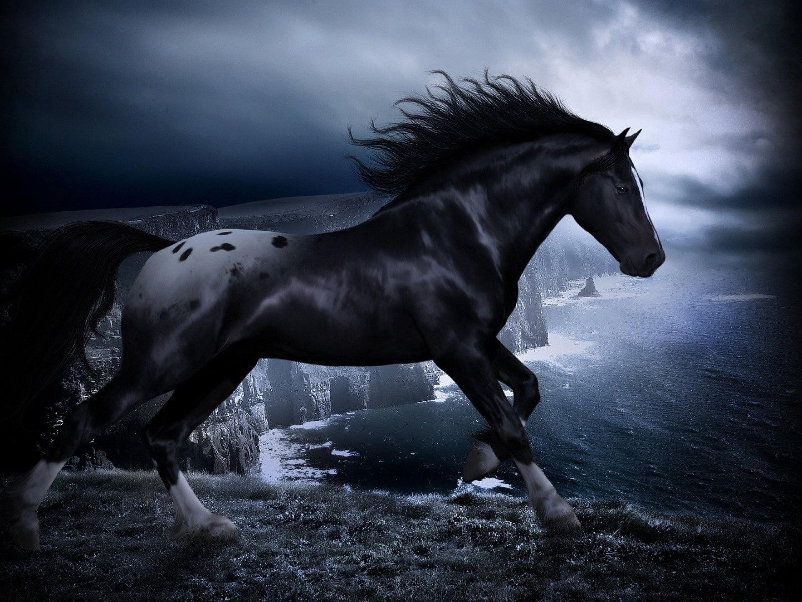 Black Horse Wallpapers Top Free Black Horse Backgrounds WallpaperAccess