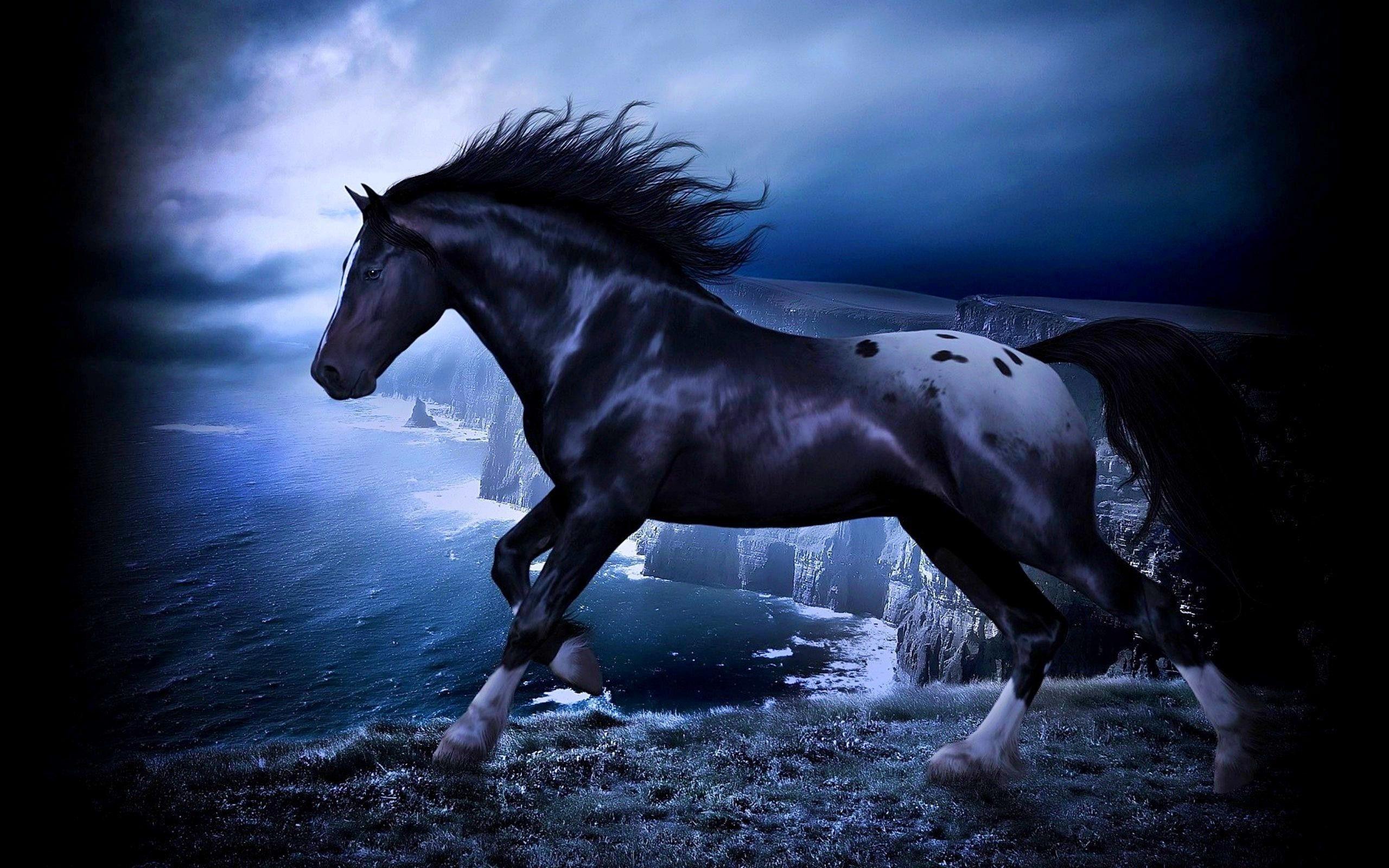Black Horse Art
