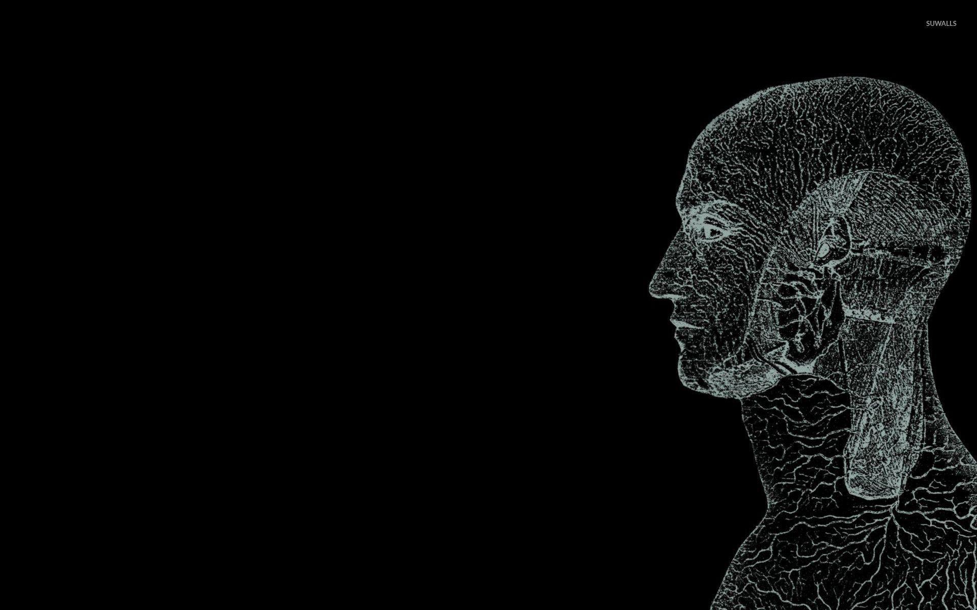 Human Wallpapers Top Free Human Backgrounds WallpaperAccess