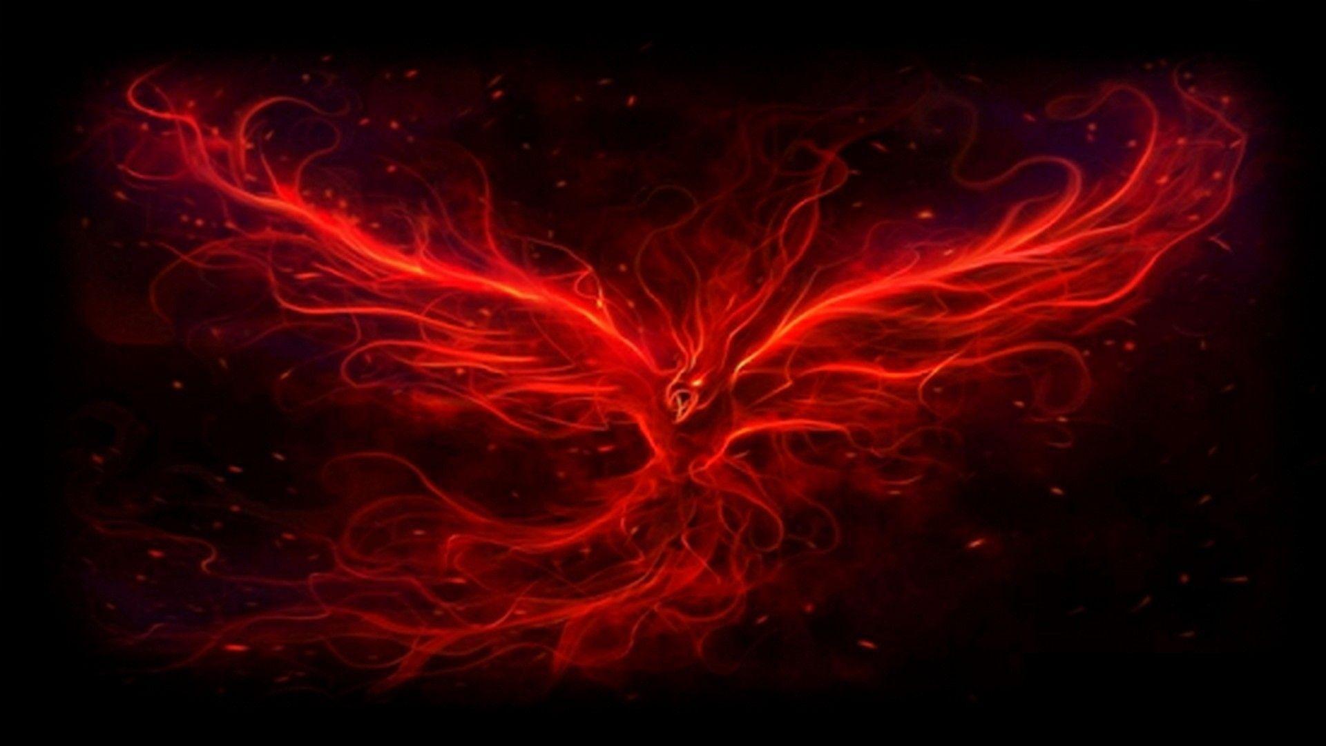 Black Phoenix Wallpapers Top Free Black Phoenix Backgrounds WallpaperAccess