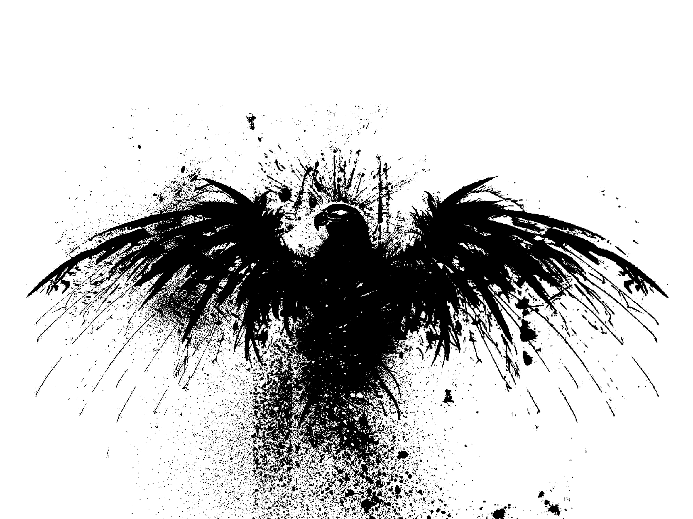 Black Phoenix Wallpapers Top Free Black Phoenix Backgrounds WallpaperAccess