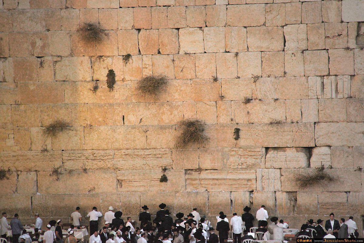 Western Wall Wallpapers Top Free Western Wall Backgrounds