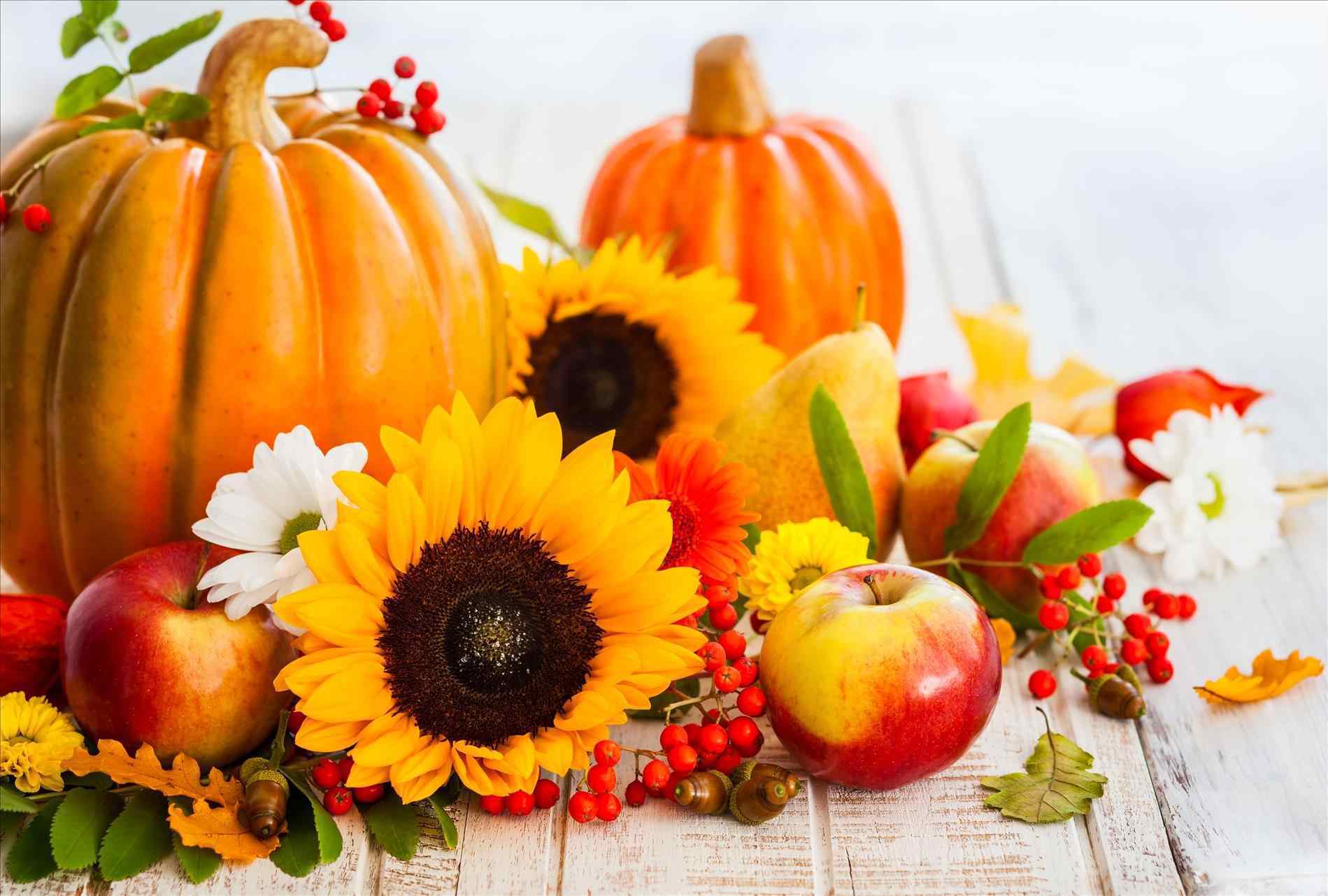 Pretty Fall Flowers Pumpkin Wallpapers Top Free Pretty Fall Flowers