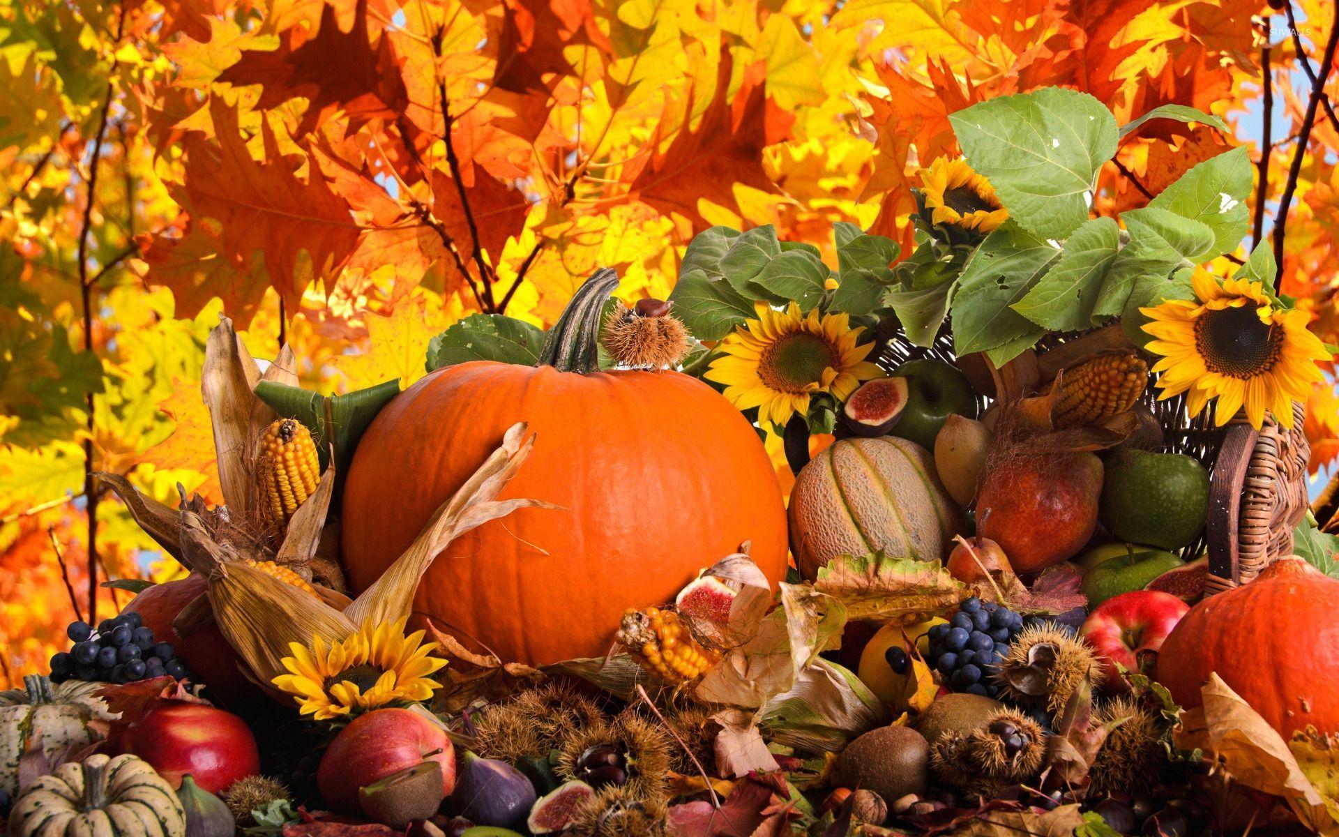 Harvest Festival Wallpapers - Top Free Harvest Festival Backgrounds