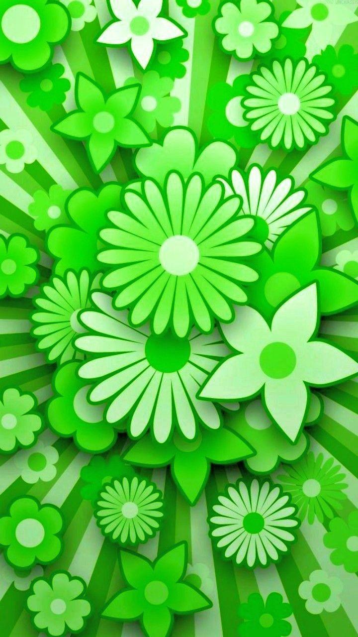 Green Flower Wallpapers Top Free Green Flower Backgrounds