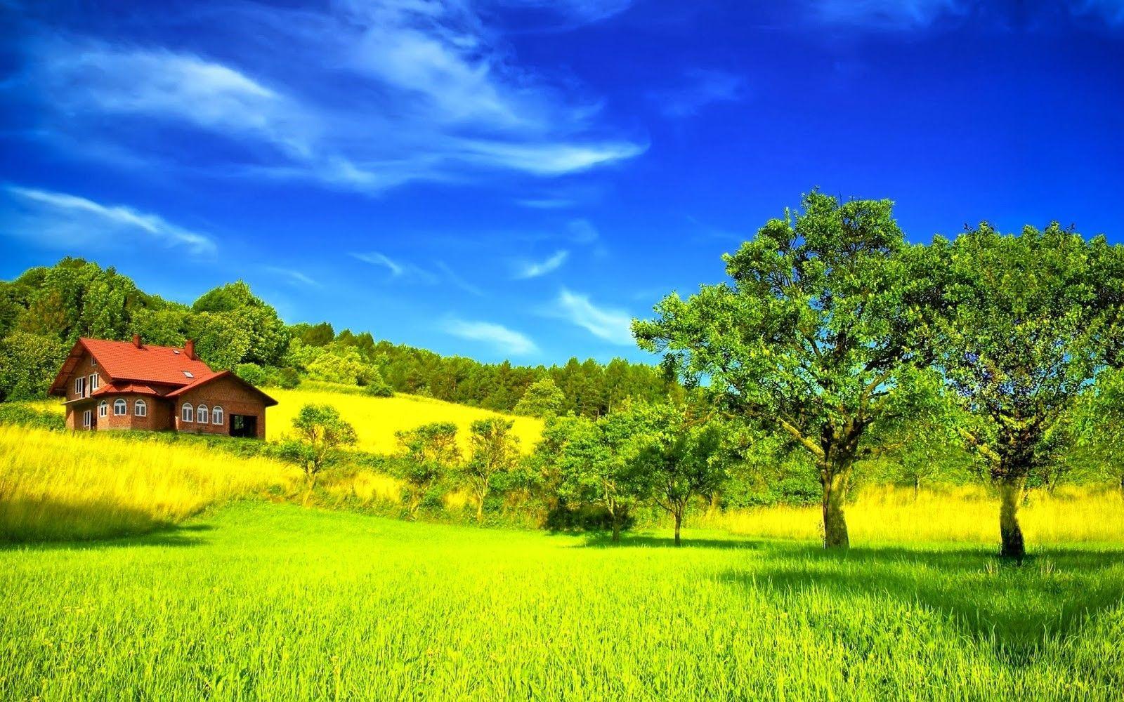 Green Nature Wallpapers Top Free Green Nature Backgrounds