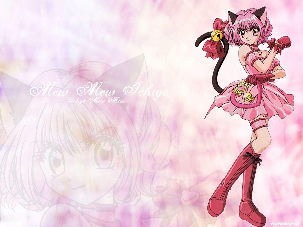 Cute Anime Cat Girl Wallpapers Top Free Cute Anime Cat Girl