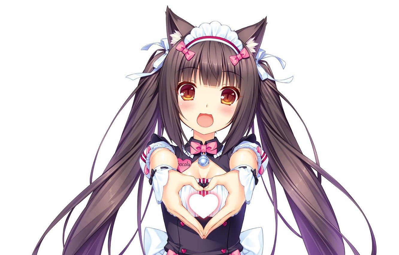 Cat Girl Kawaii Wallpapers Top Free Cat Girl Kawaii Backgrounds