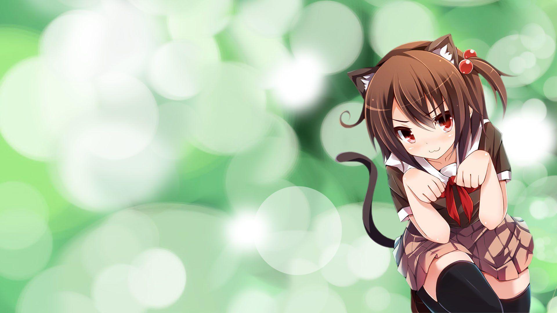 1920 X 1080 Anime Cat Girl Wallpapers Top Free 1920 X 1080 Anime Cat