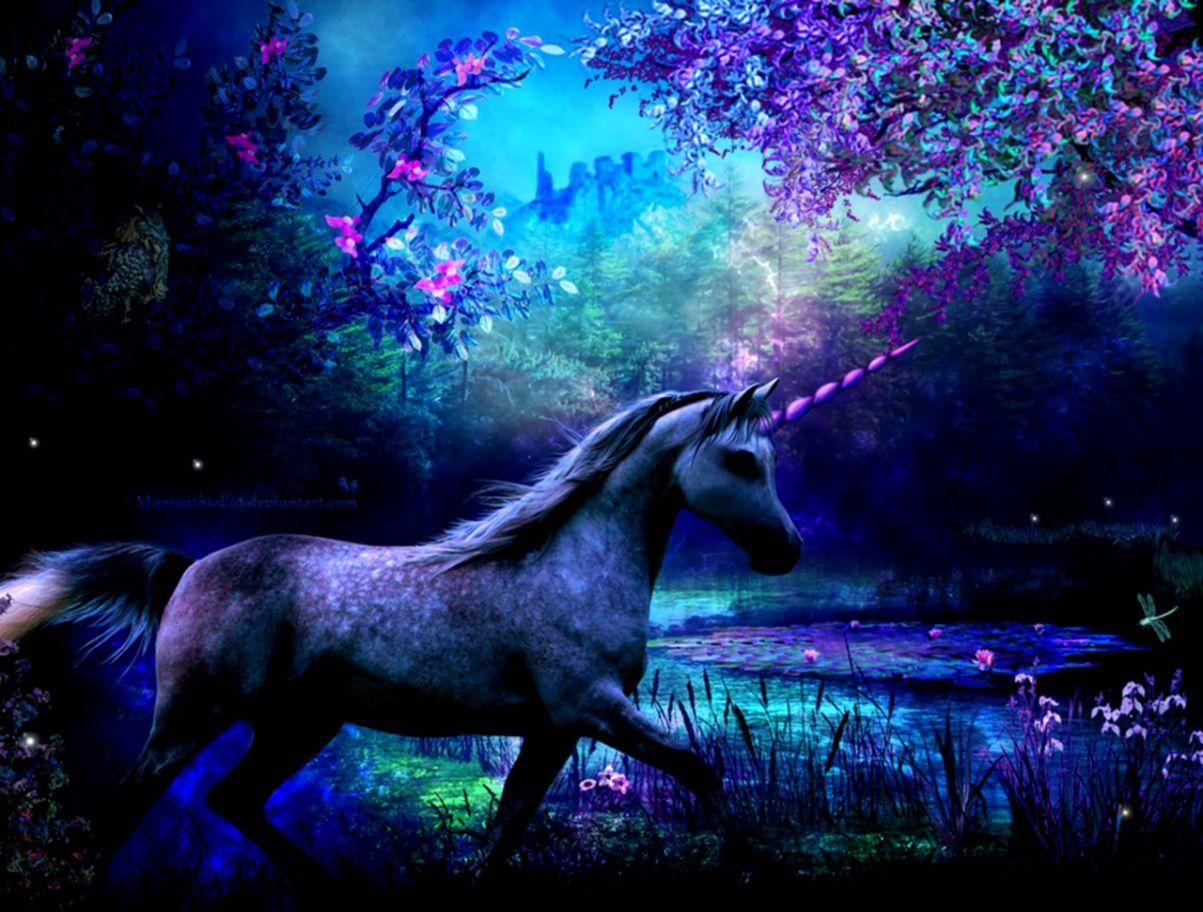 Blue Unicorn Wallpapers Top Free Blue Unicorn Backgrounds
