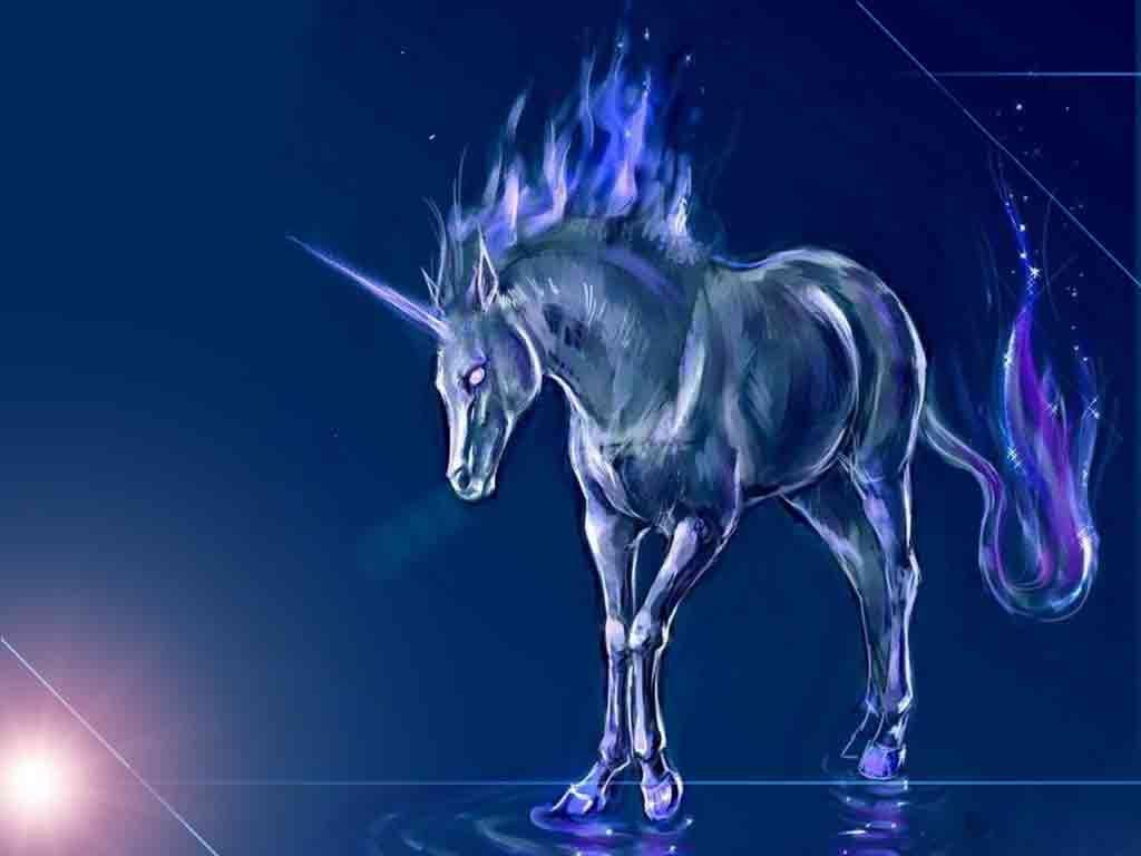 Blue Unicorn Wallpapers Top Free Blue Unicorn Backgrounds