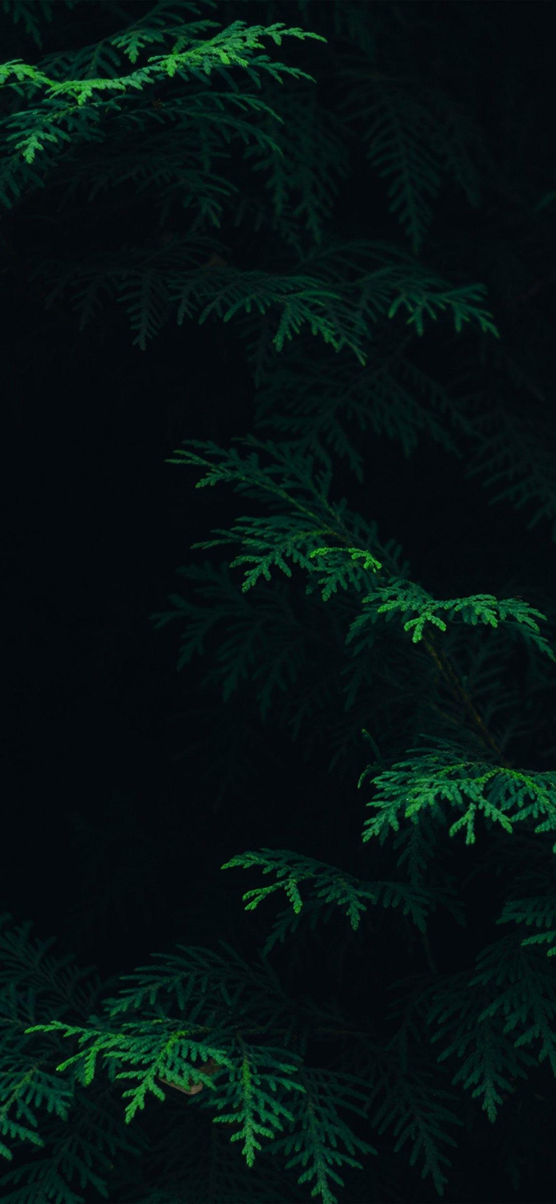 iPhone X Dark Wallpapers Top Free iPhone X Dark Backgrounds