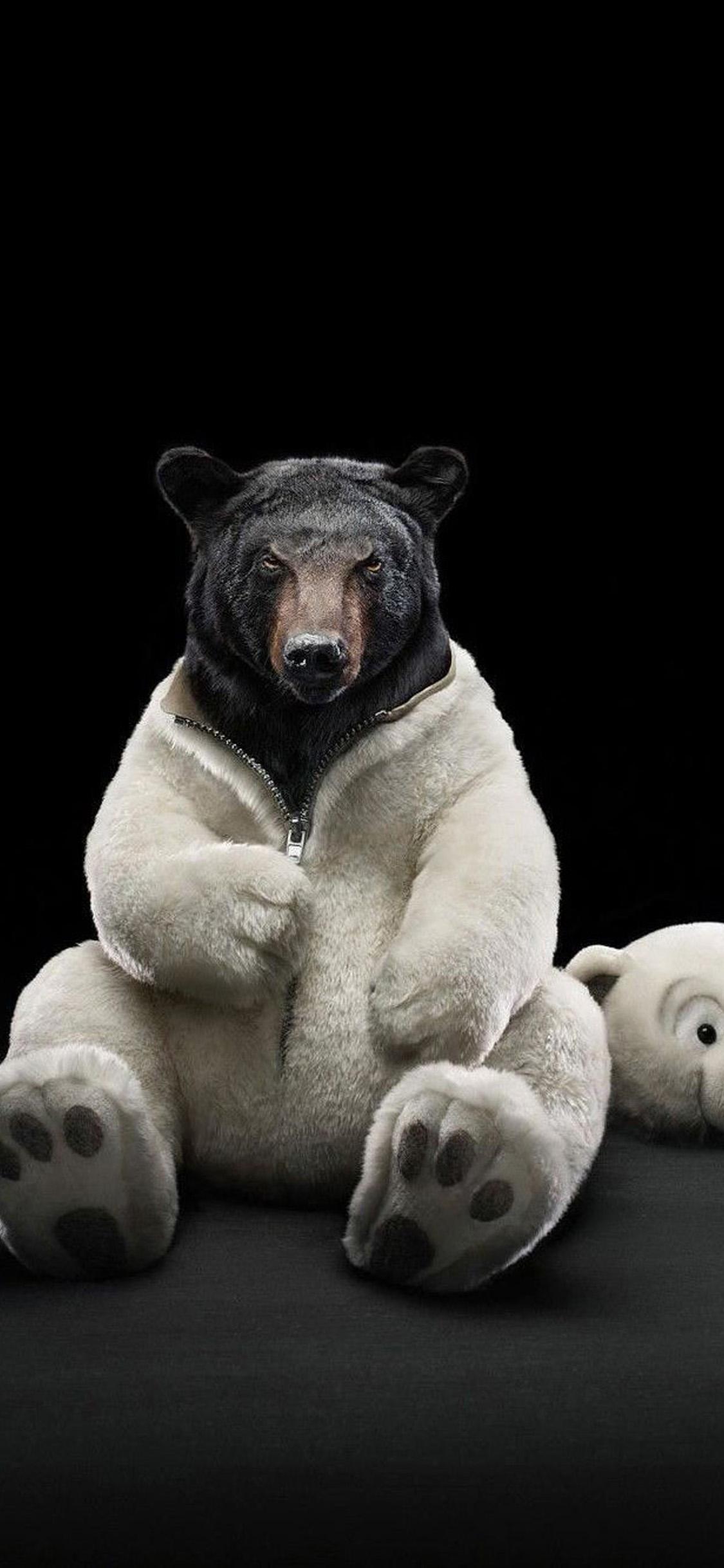 Black Bear iPhone Wallpapers Top Free Black Bear iPhone Backgrounds