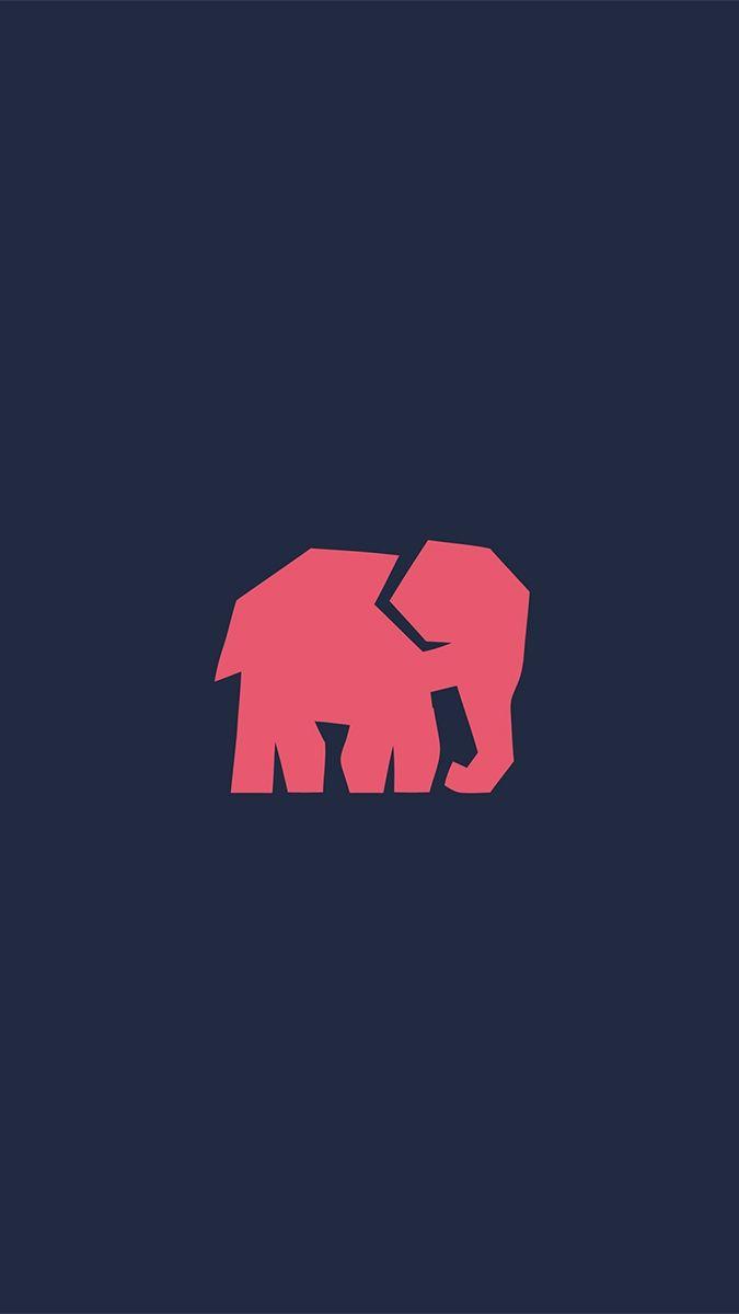 Cool Elephant Wallpapers Top Free Cool Elephant Backgrounds