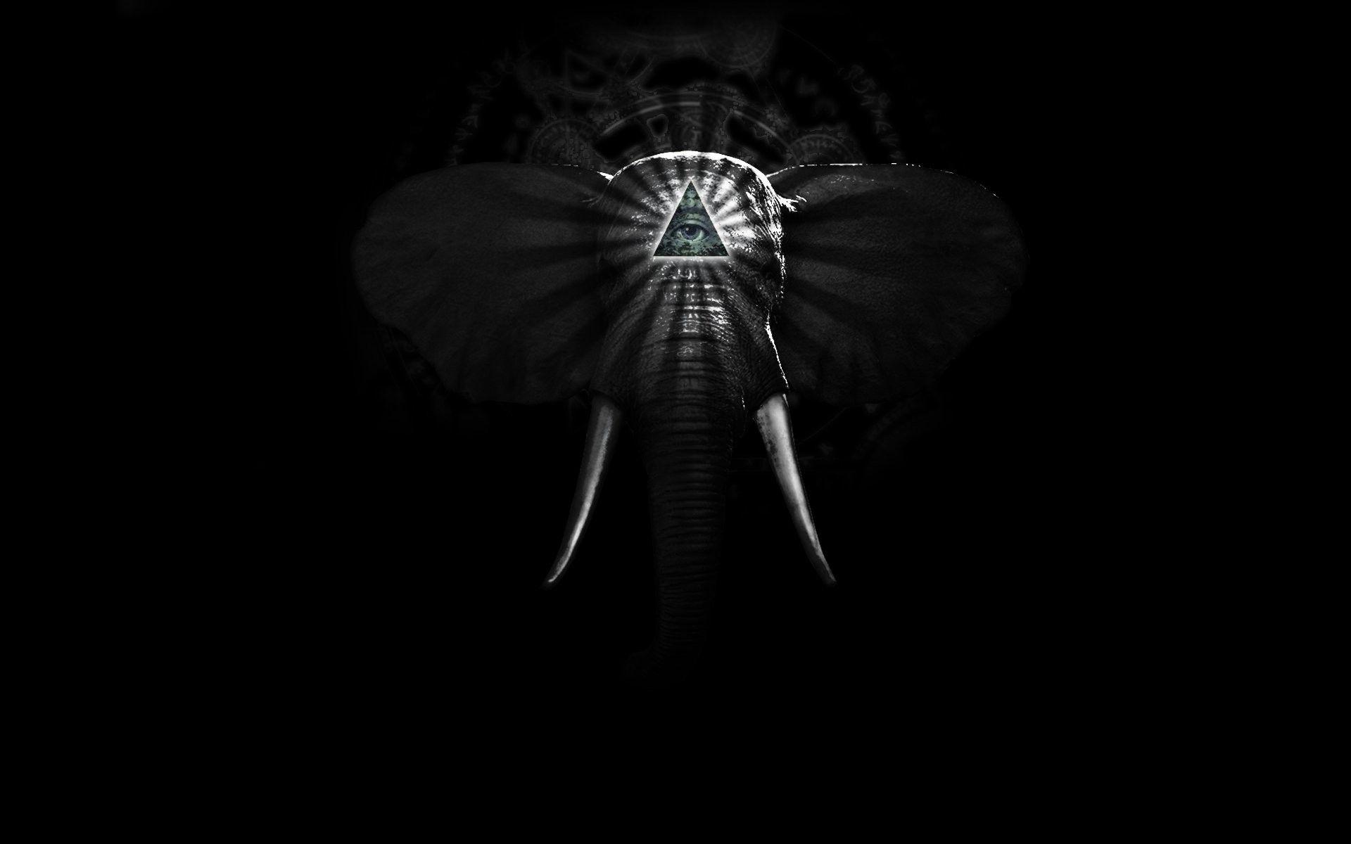 Black Elephant Wallpapers Top Free Black Elephant Backgrounds