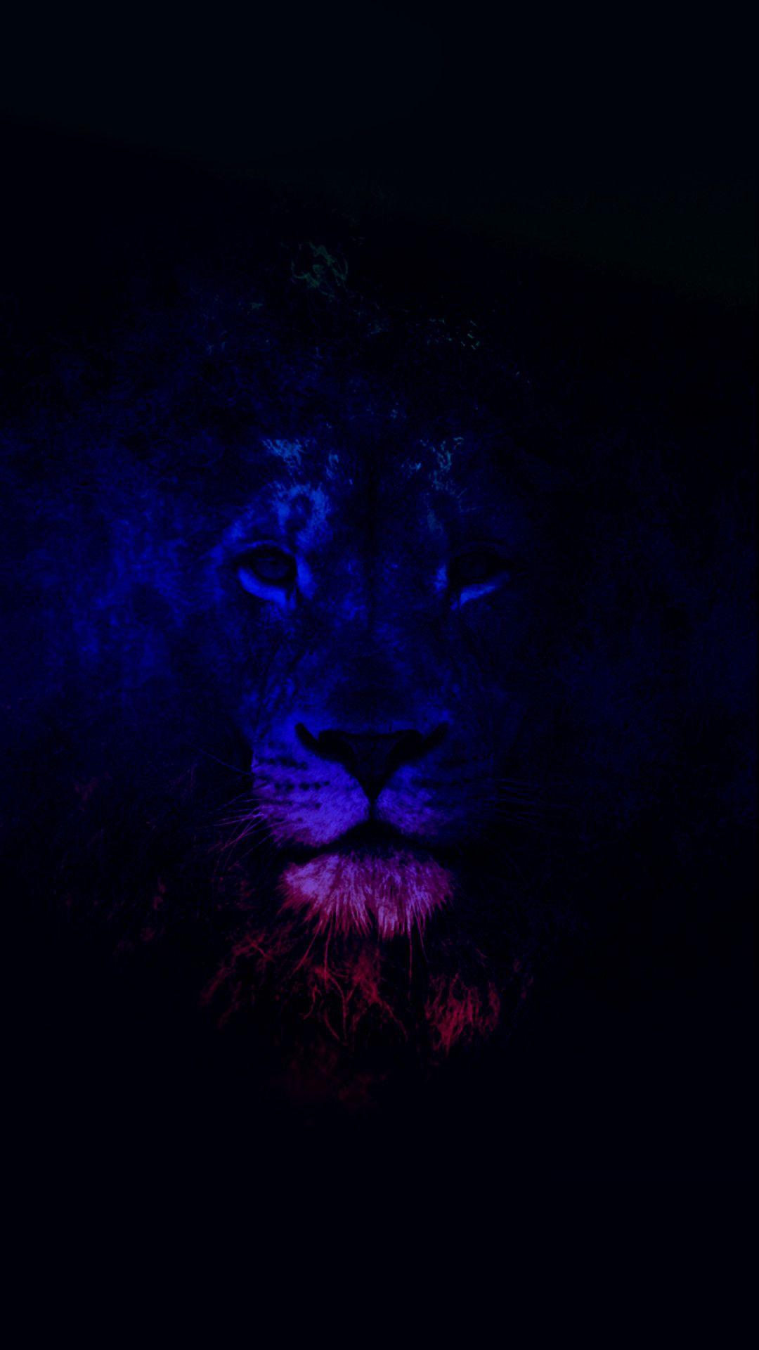 Black Lion iPhone Wallpapers Top Free Black Lion iPhone Backgrounds WallpaperAccess