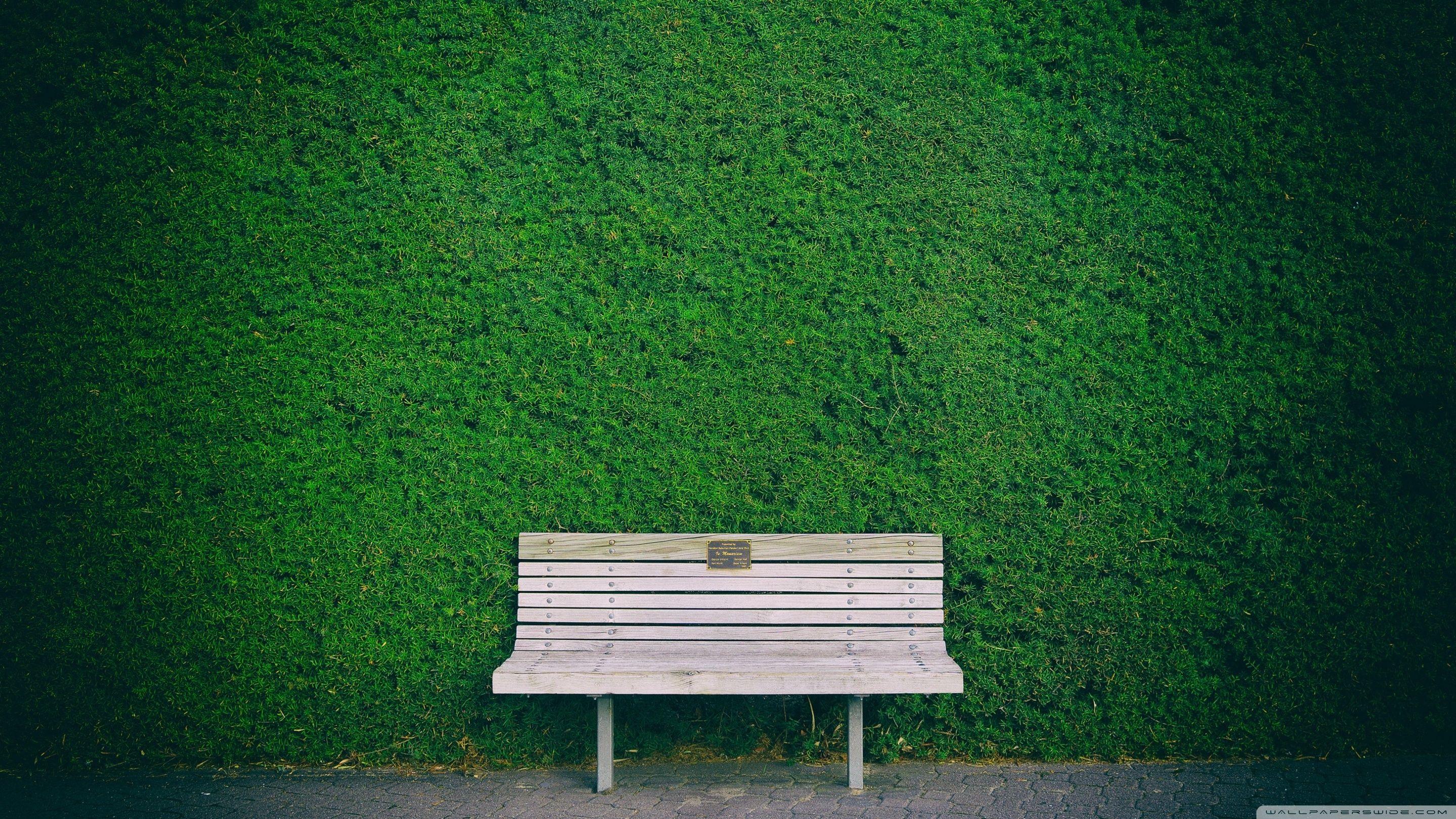 Bench Wallpapers Top Free Bench Backgrounds WallpaperAccess