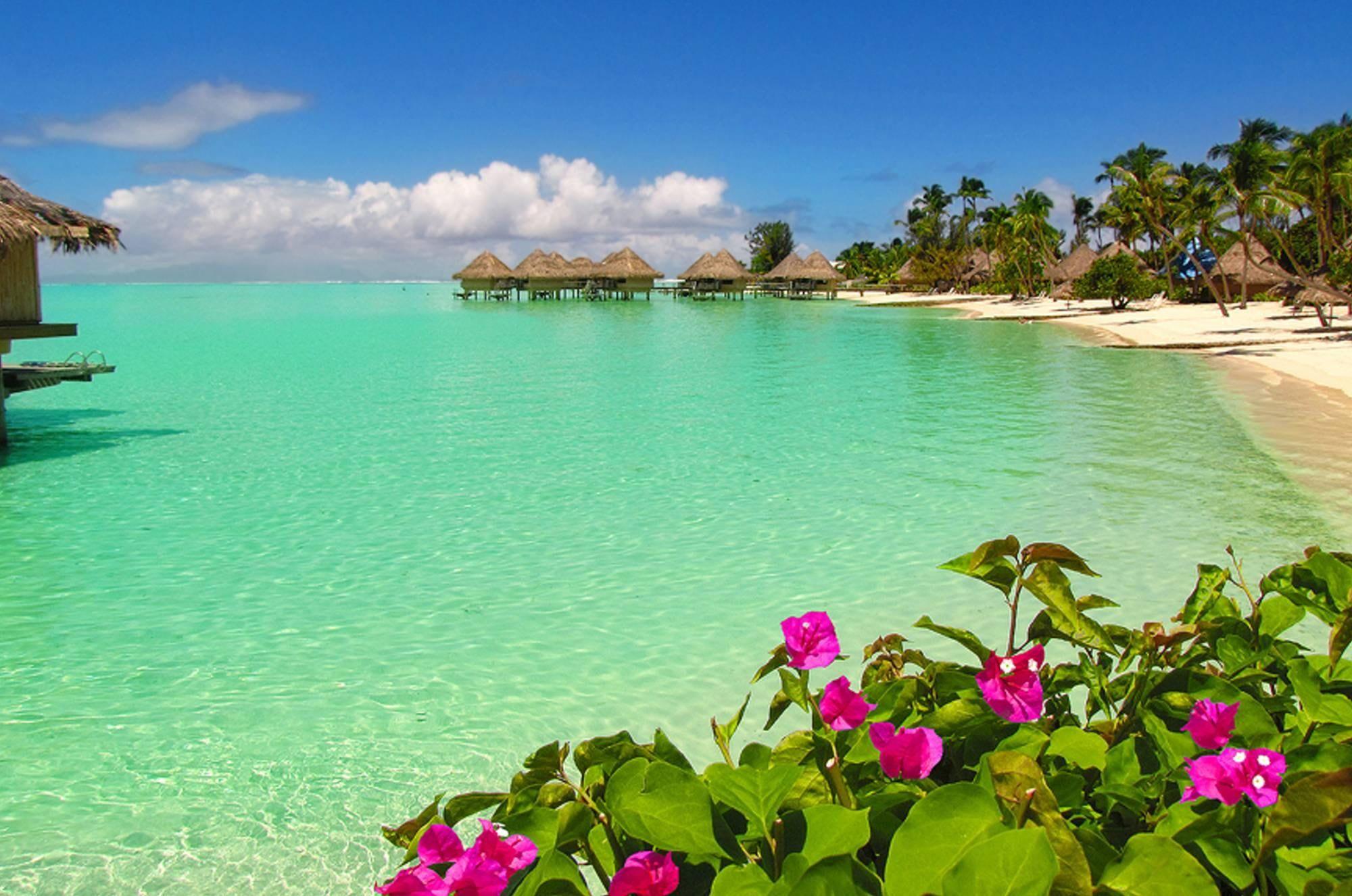 Tahiti Beach Desktop Wallpapers Top Free Tahiti Beach Desktop