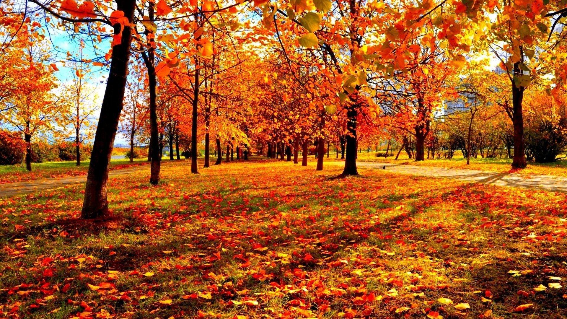 NYC Fall Wallpapers Top Free NYC Fall Backgrounds WallpaperAccess