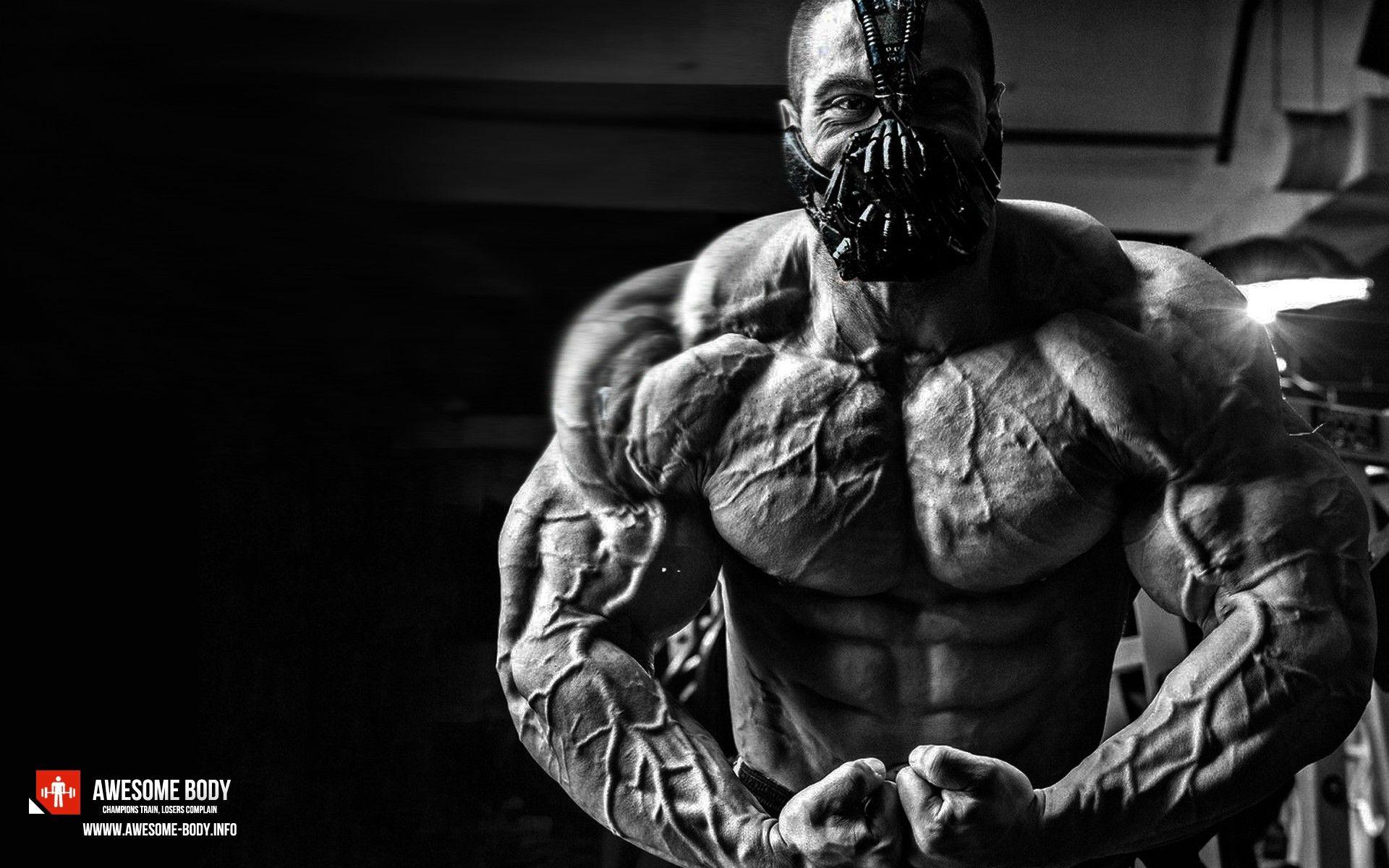 Gym Bodybuilding Wallpapers Top Free Gym Bodybuilding Backgrounds