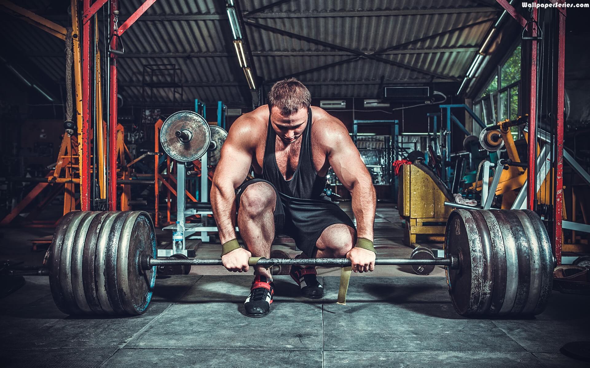 Gym Bodybuilding Wallpapers Top Free Gym Bodybuilding Backgrounds