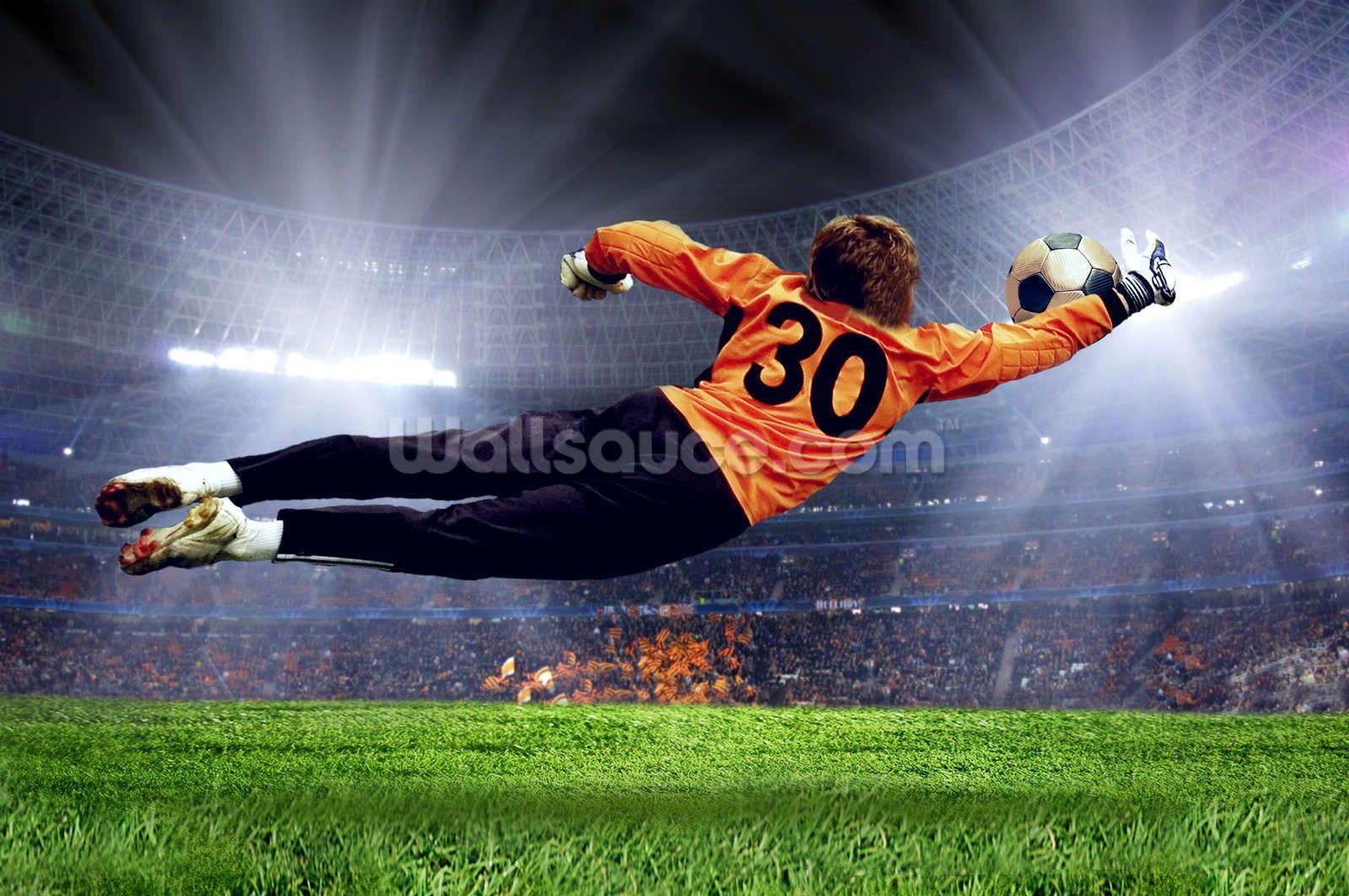 Goalkeeper Wallpapers Top Free Goalkeeper Backgrounds WallpaperAccess