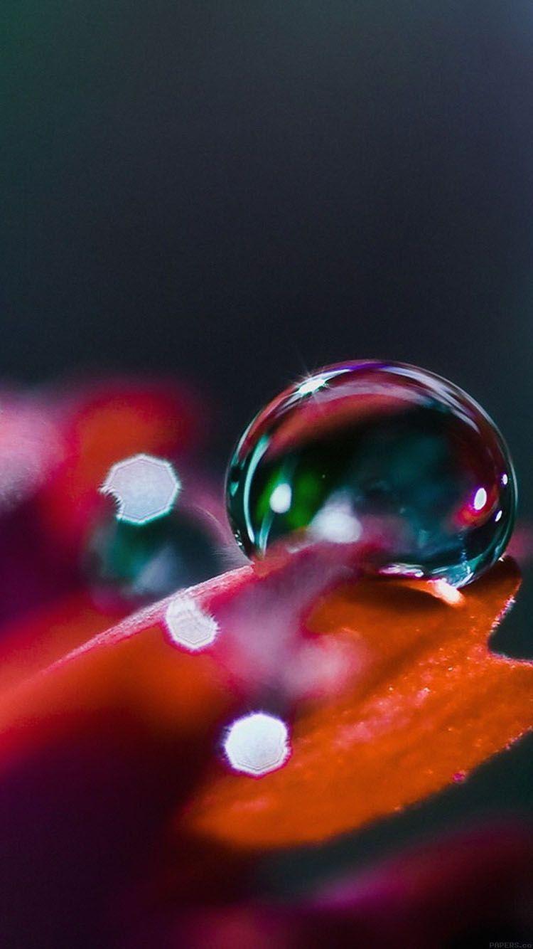 Apple Raindrop Wallpapers Top Free Apple Raindrop Backgrounds