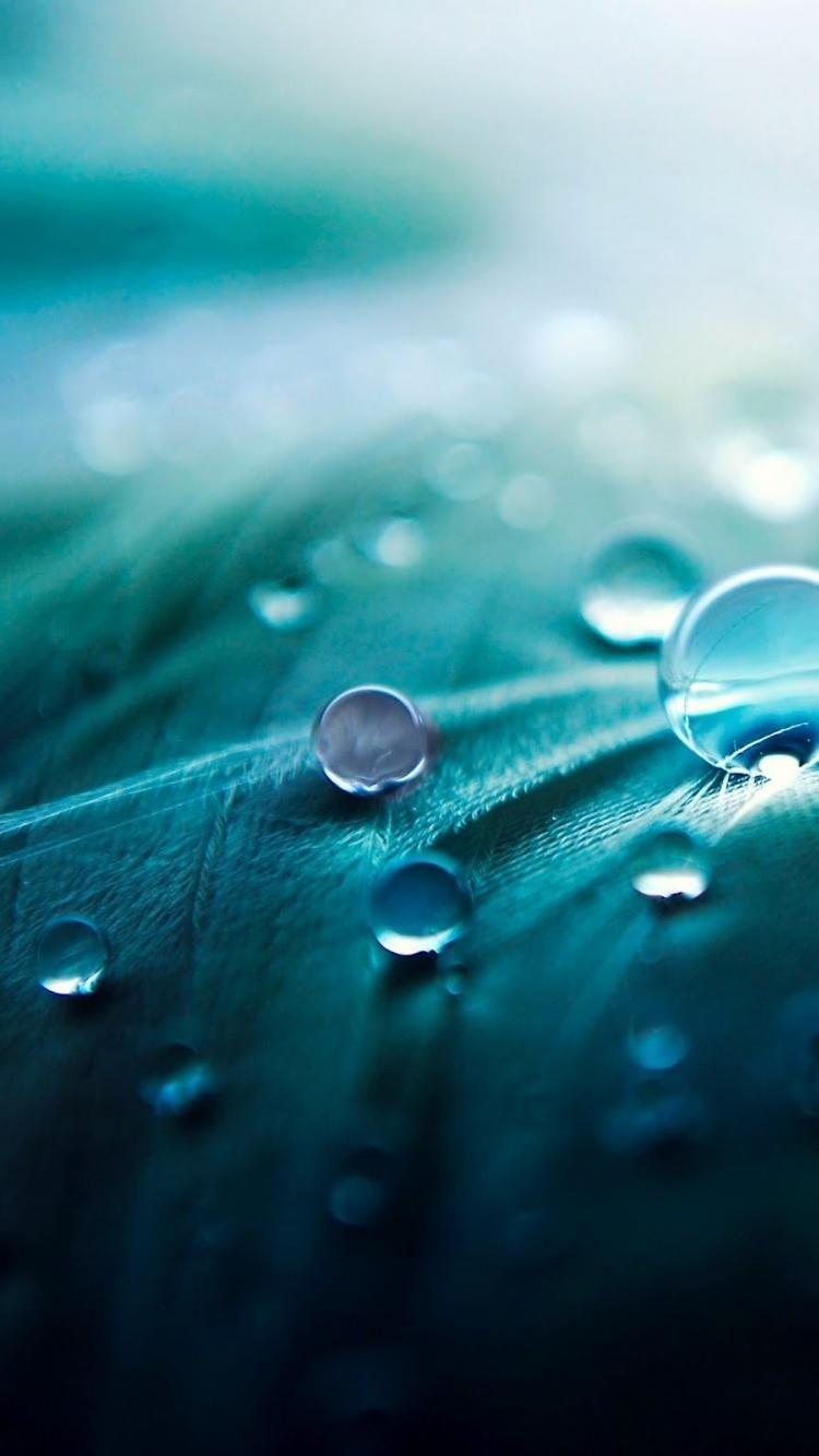Apple Raindrop Wallpapers Top Free Apple Raindrop Backgrounds